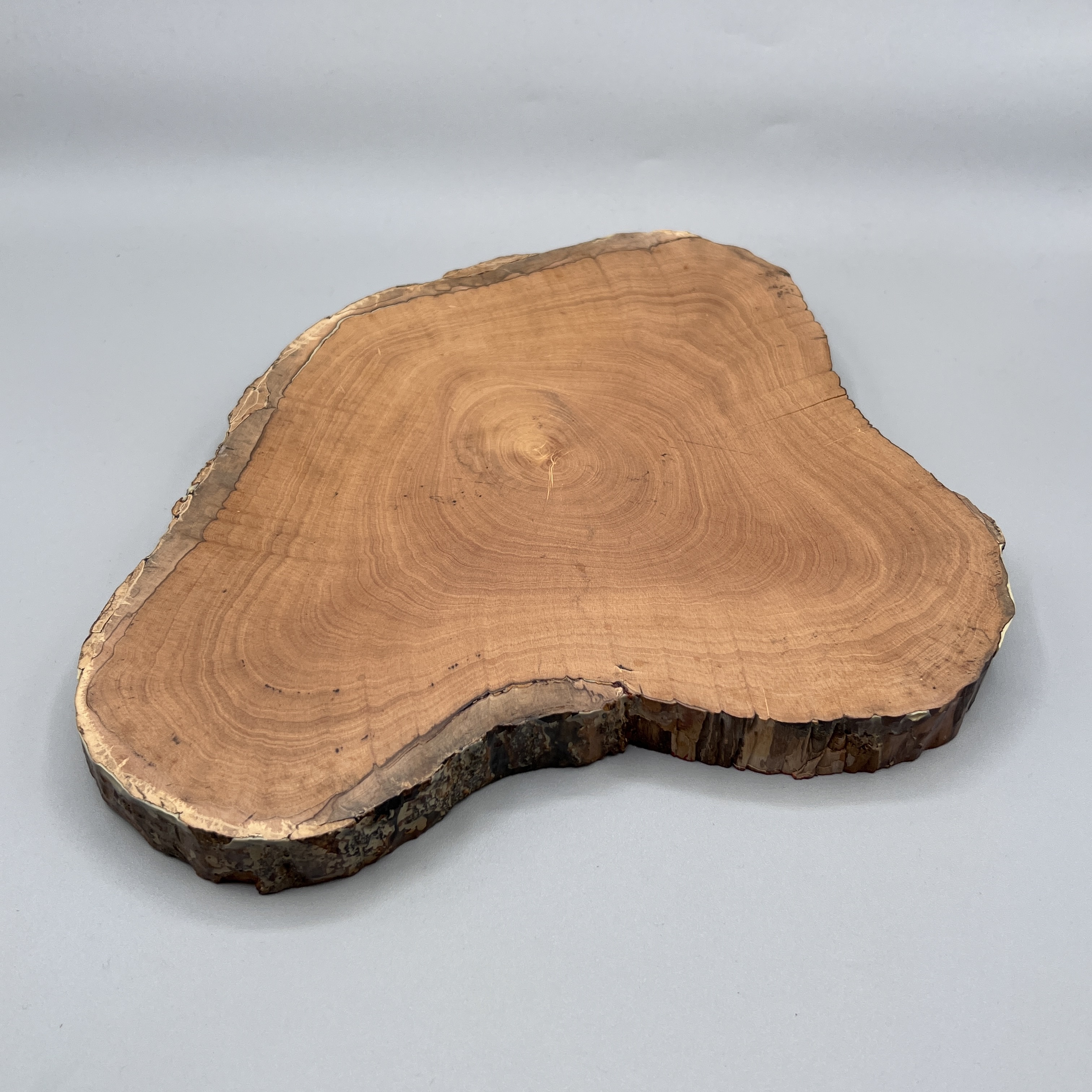 2024/04/08 object photographed in collection storage for database