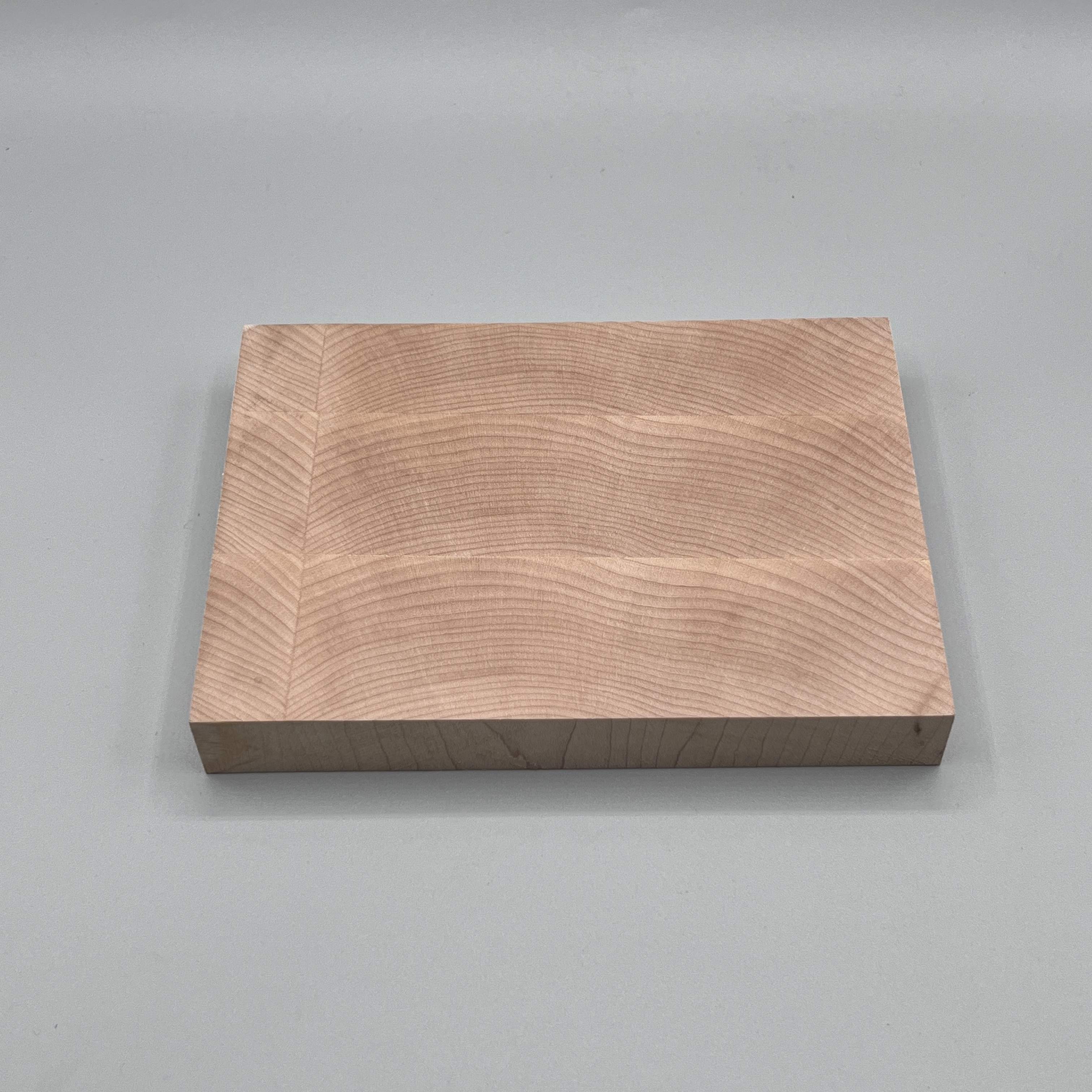 2024/04/08 object photographed in collection storage for database