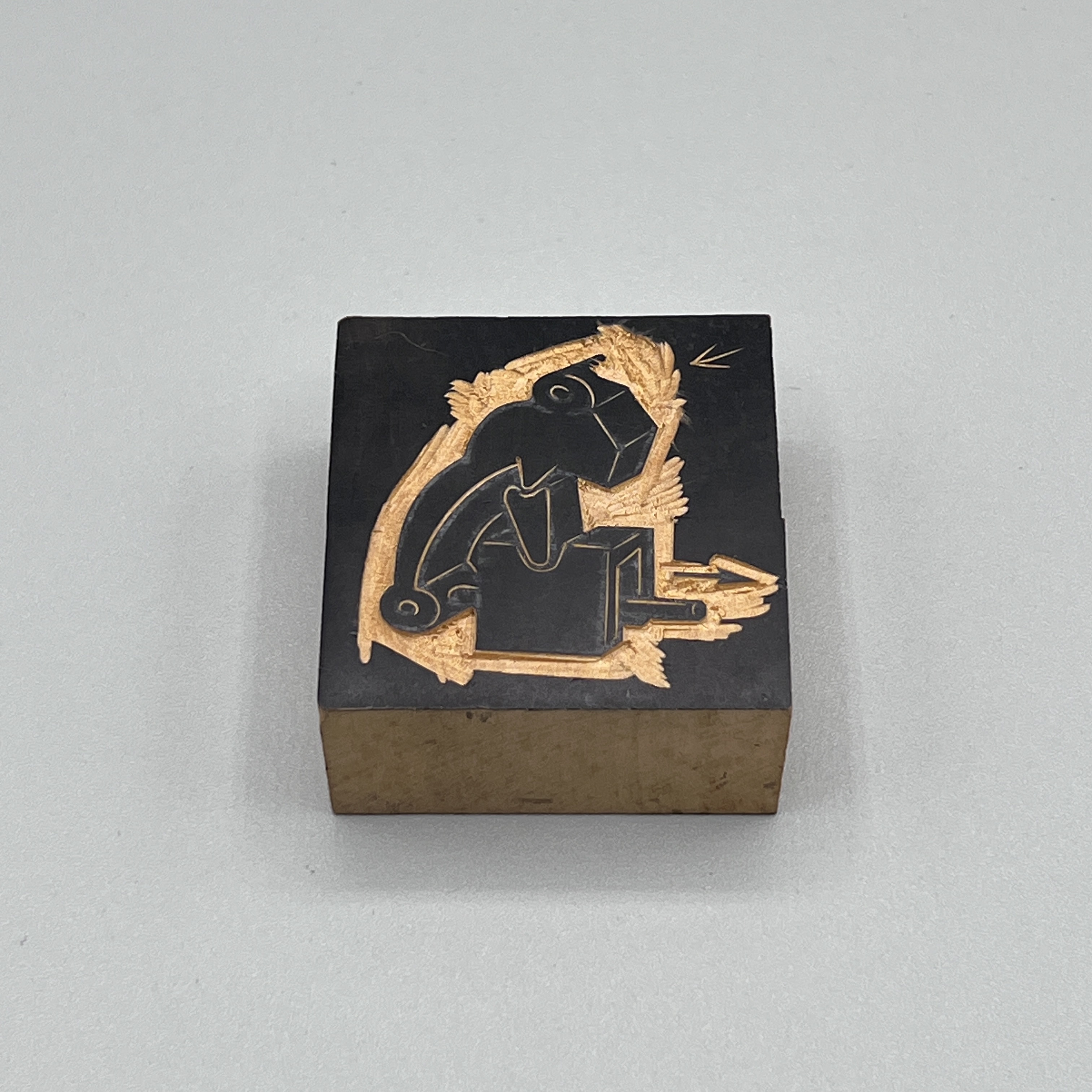 2024/08/04 image taken in collections storage for database