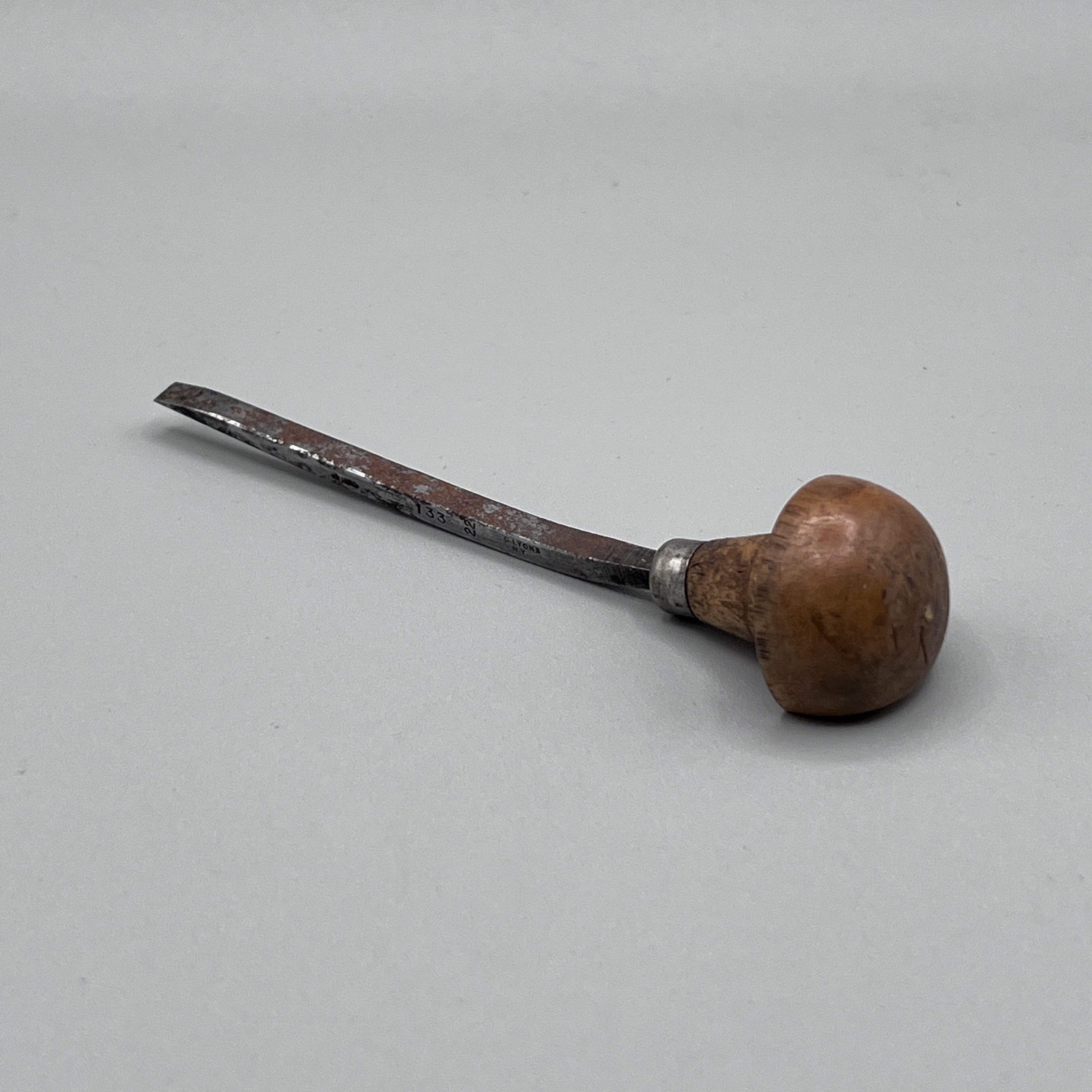 2024/04/08 object photographed in collection storage for database