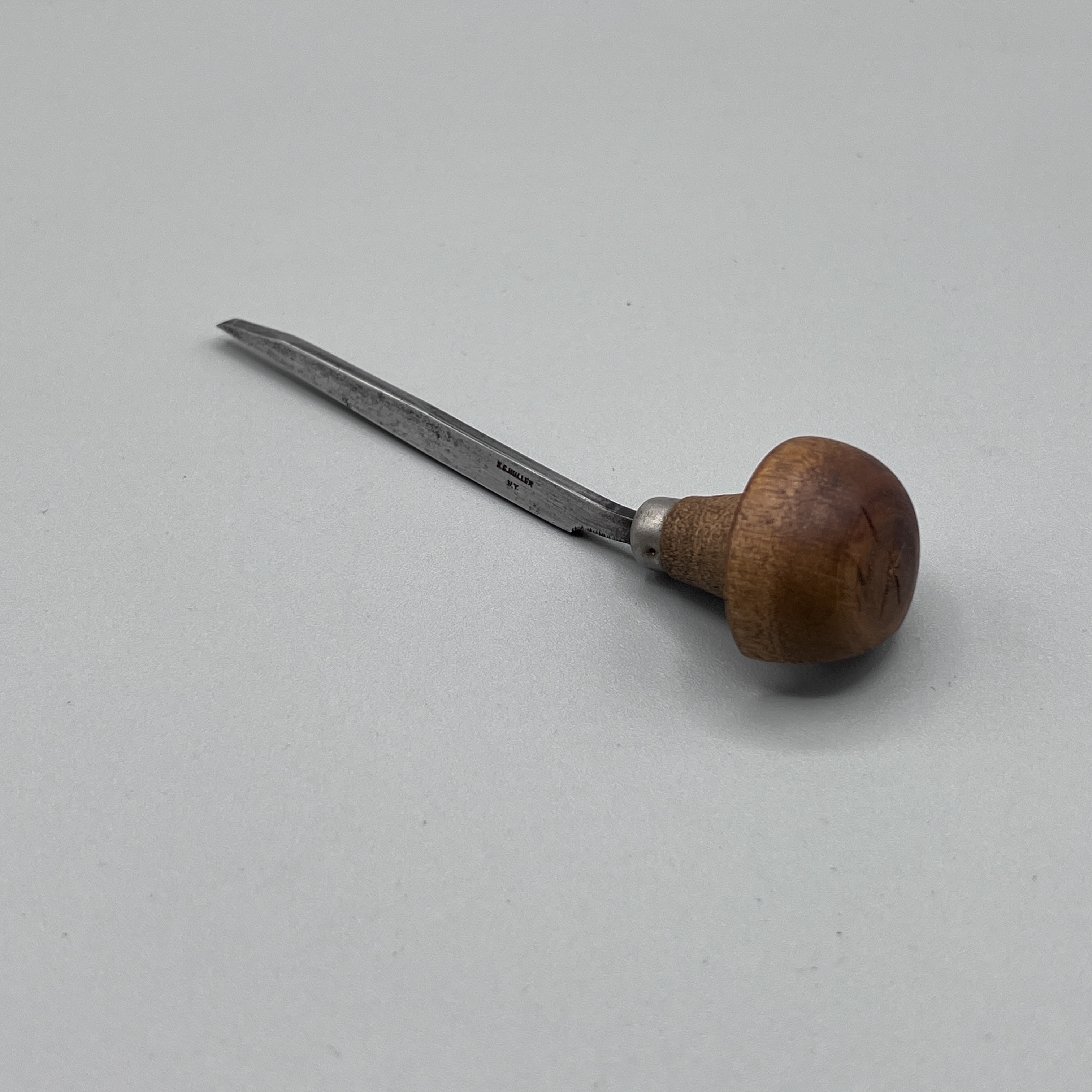 2024/04/08 object photographed in collection storage for database