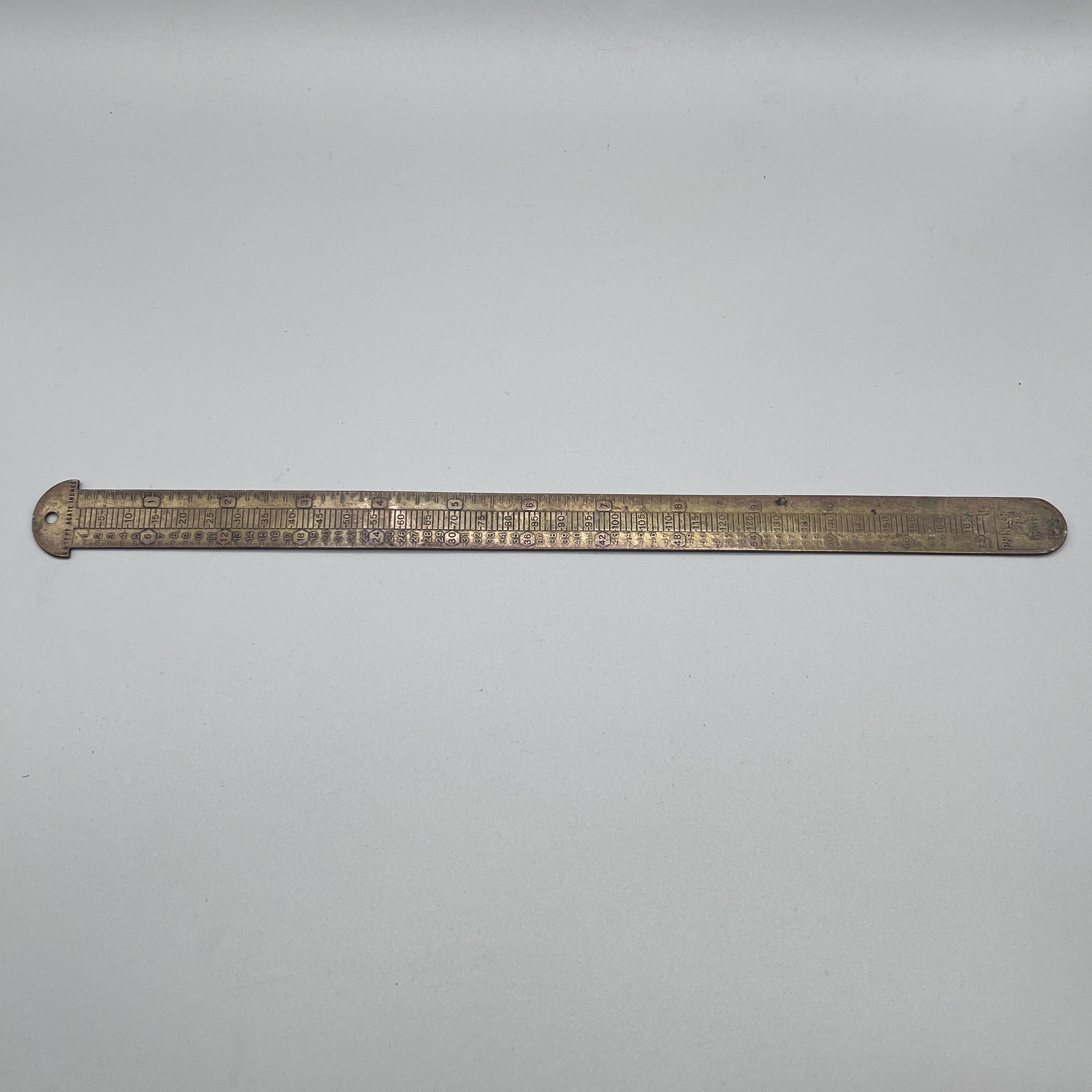 2024/04/08 object photographed in collection storage for database