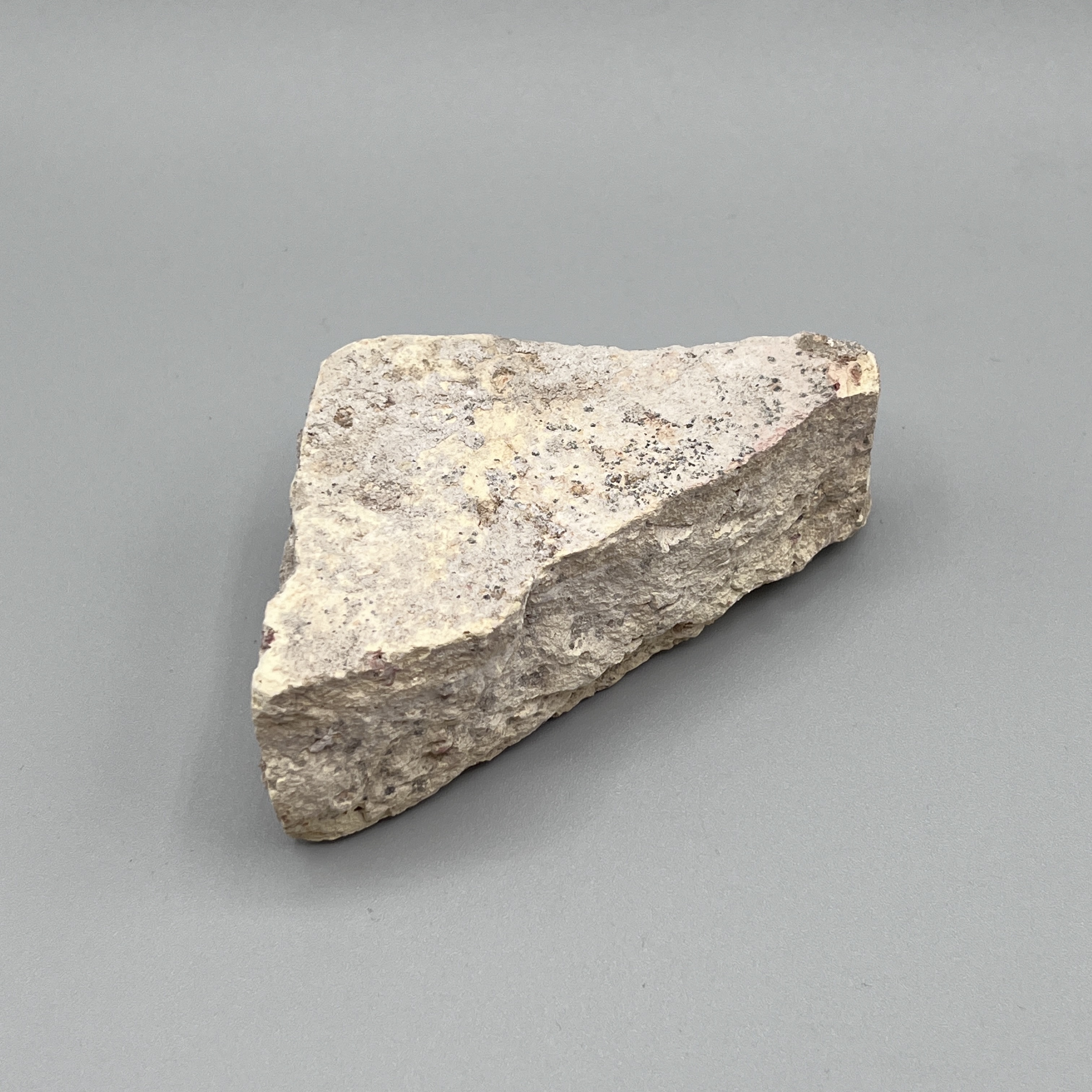 2024/05/21 object photographed in collection storage for database