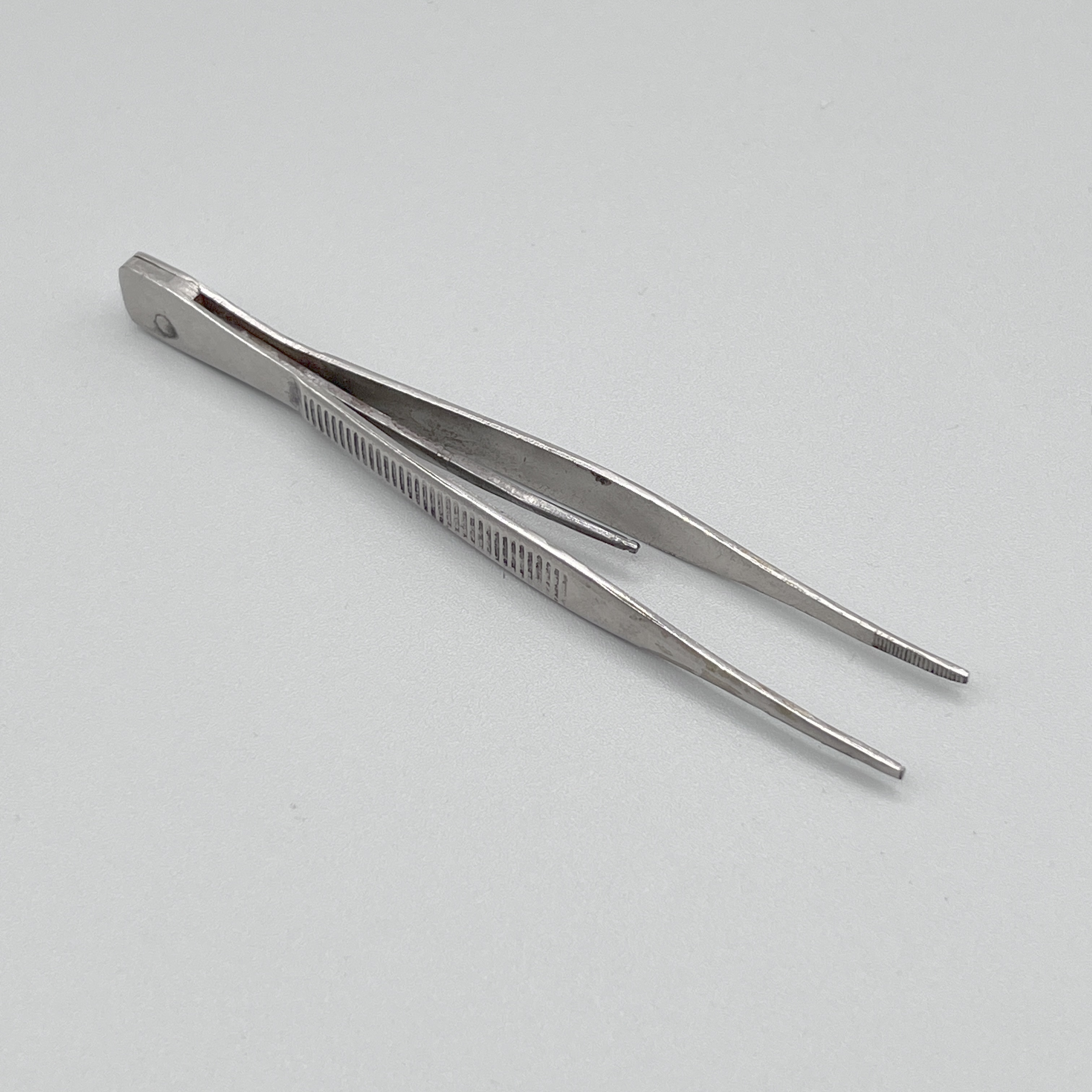 2024/06/05, object photographed in collection storage for database