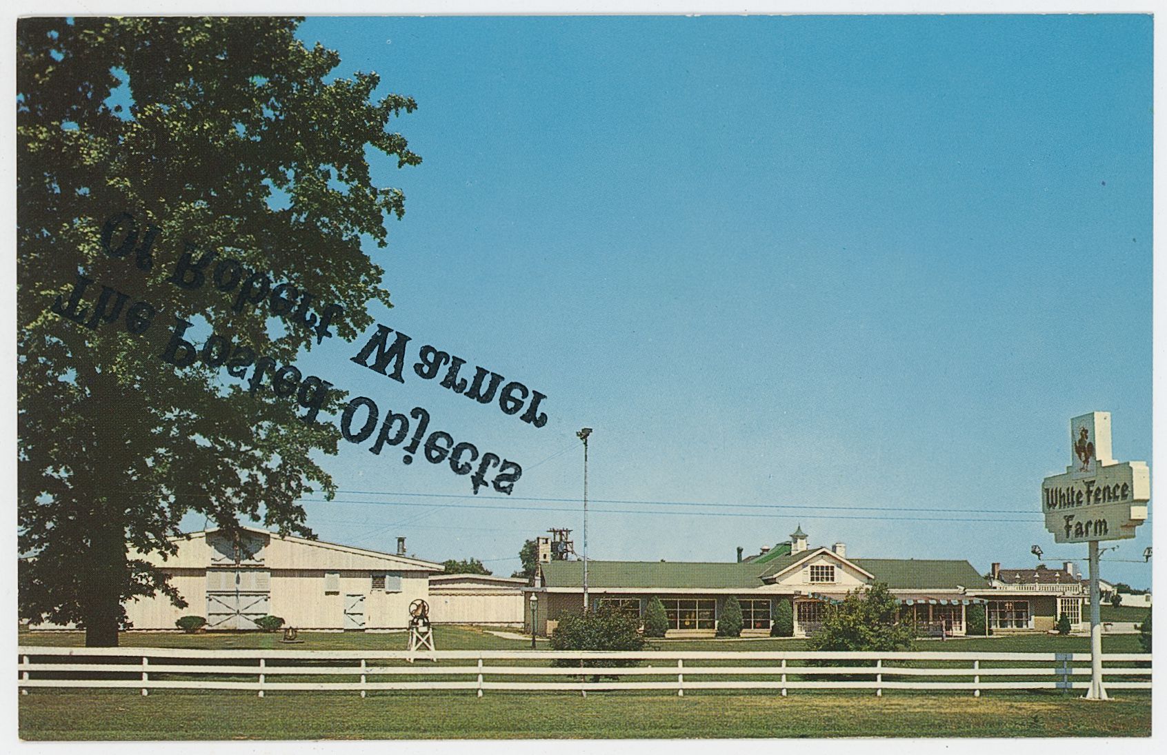 2024/06/10, object scanned in collections office for database