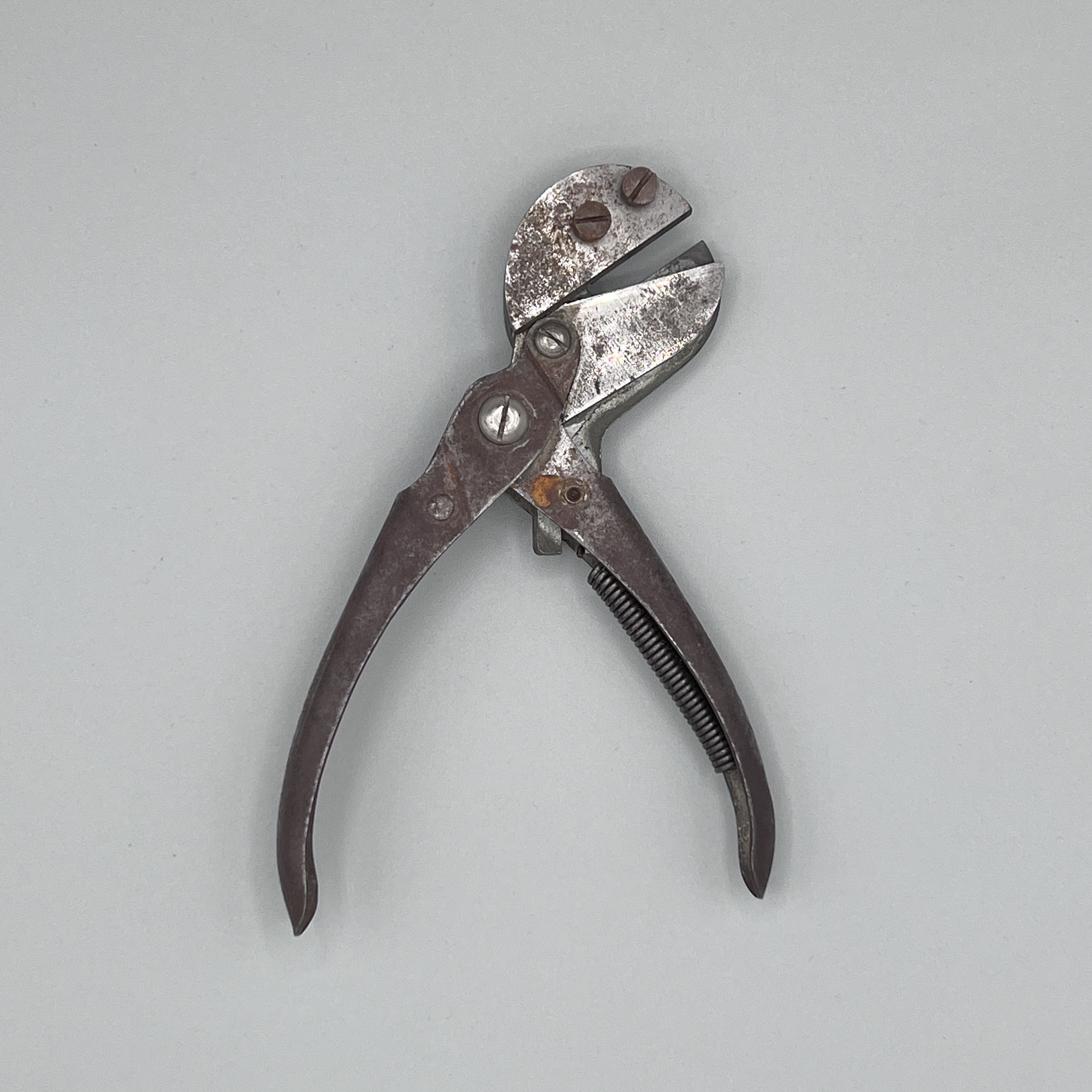 2024/06/11, object photographed in collection storage for database