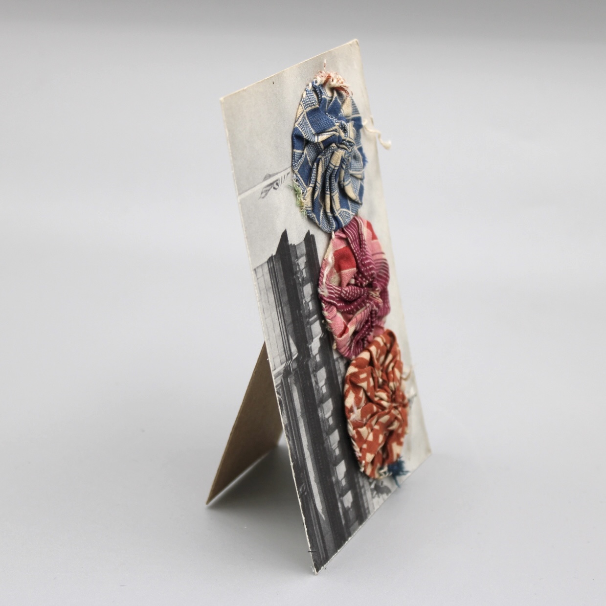 2024/06/12, object photographed in collection storage for database