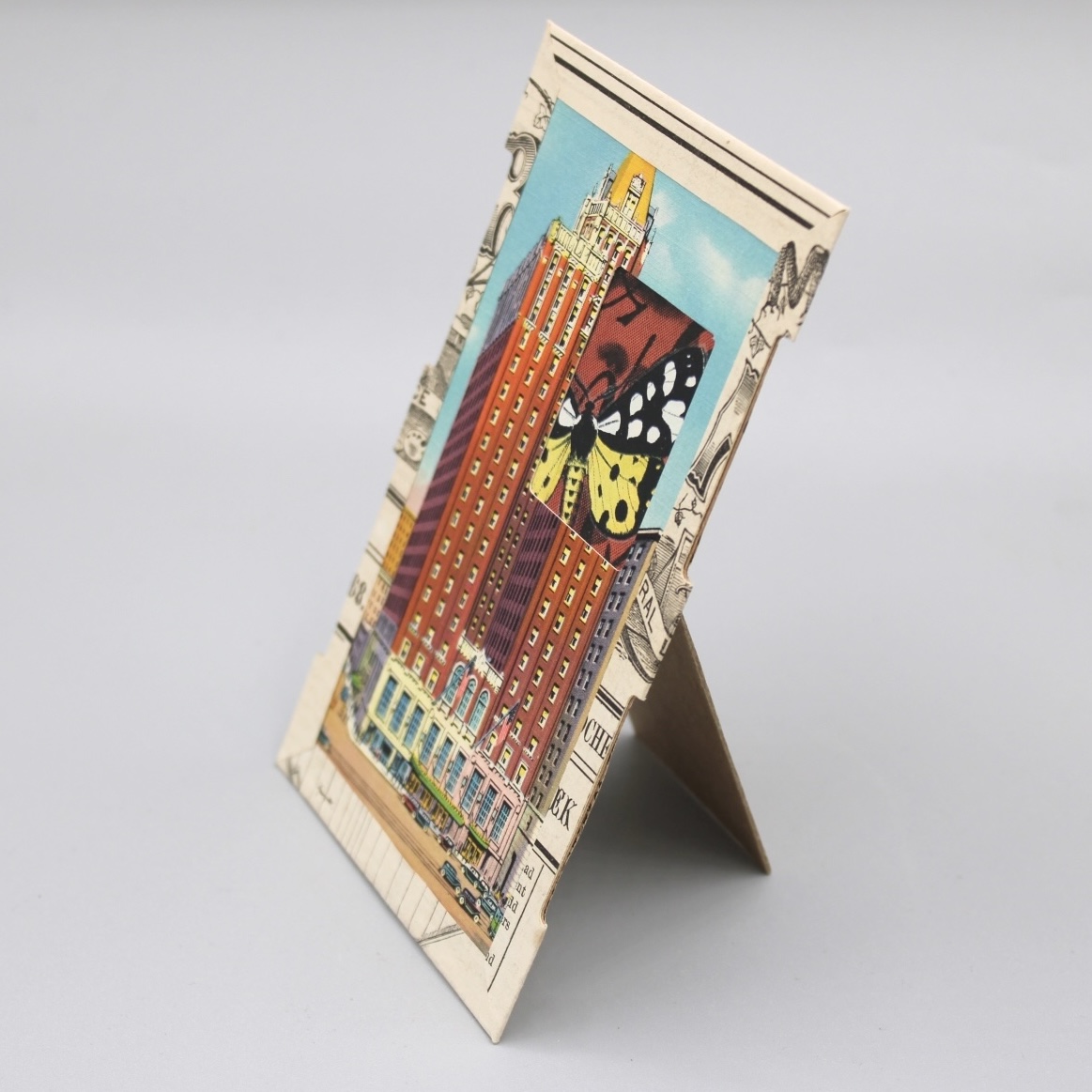 2024/06/13, object photographed in collection storage for database