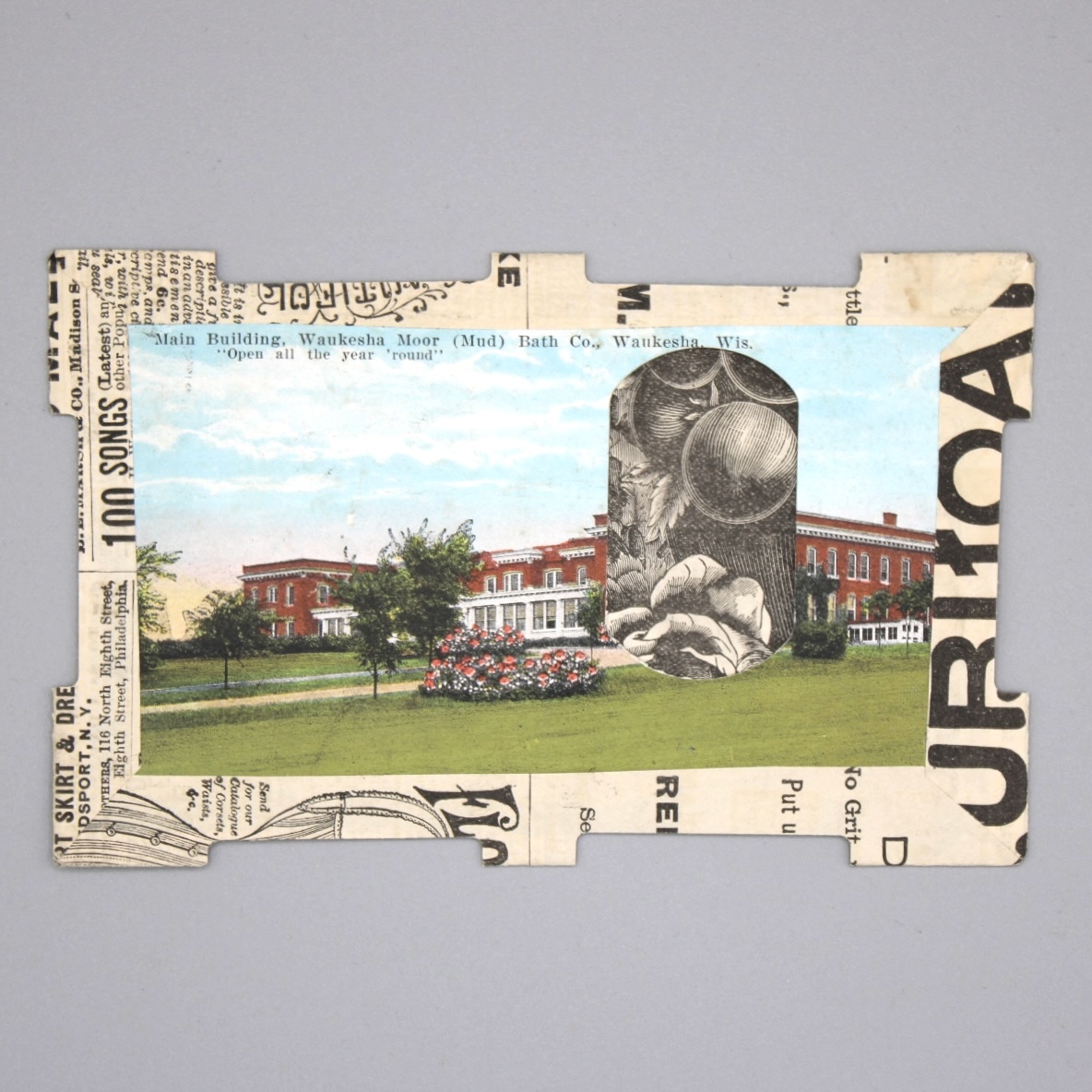 2024/06/13, object photographed in collection storage for database