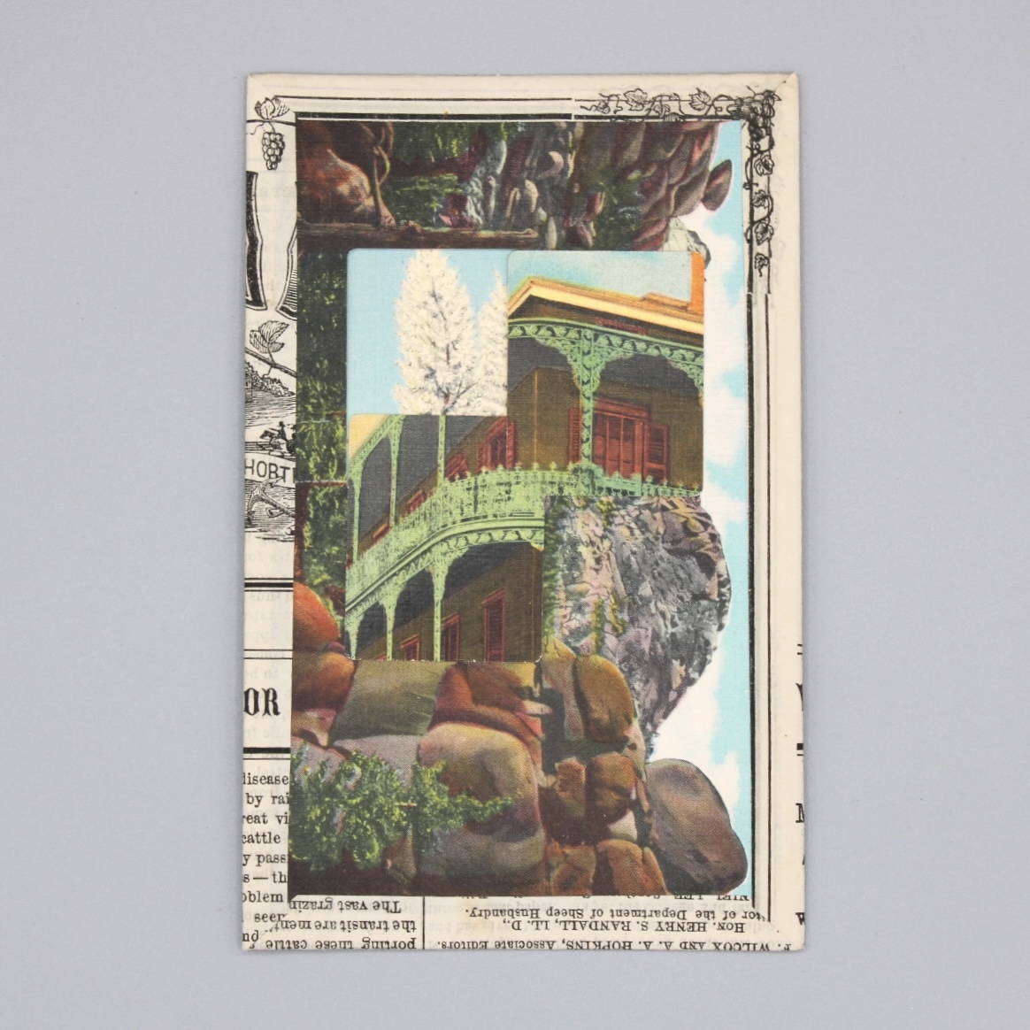 2024/06/13, object photographed in collection storage for database