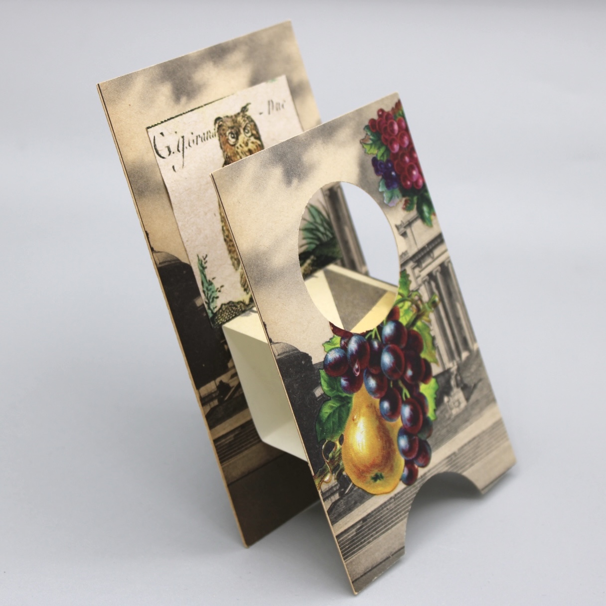 2024/06/13, object photographed in collection storage for database