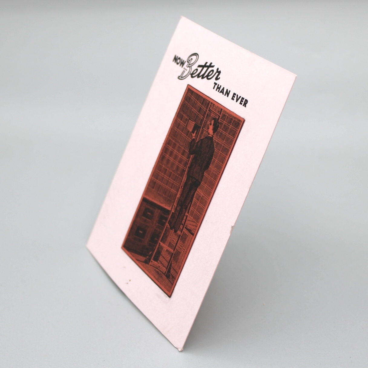 2024/06/13, object photographed in collection storage for database