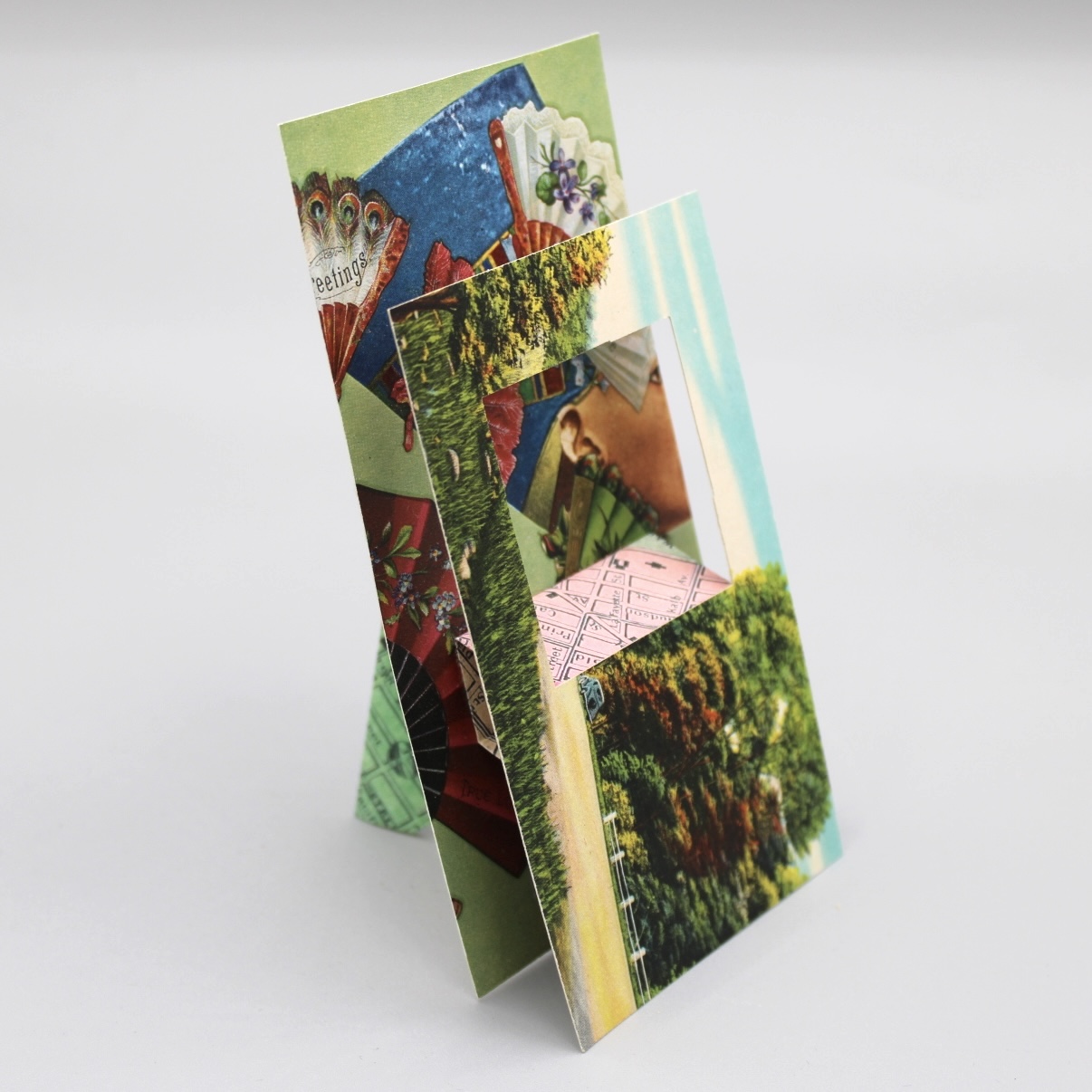 2024/06/13, object photographed in collection storage for database