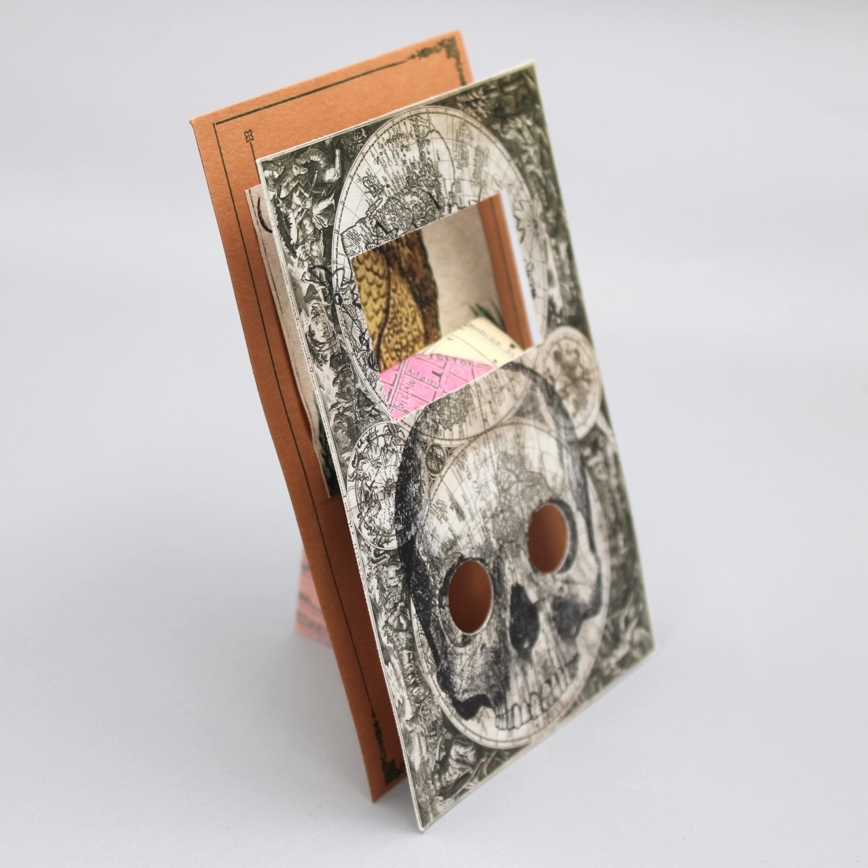 2024/06/13, object photographed in collection storage for database