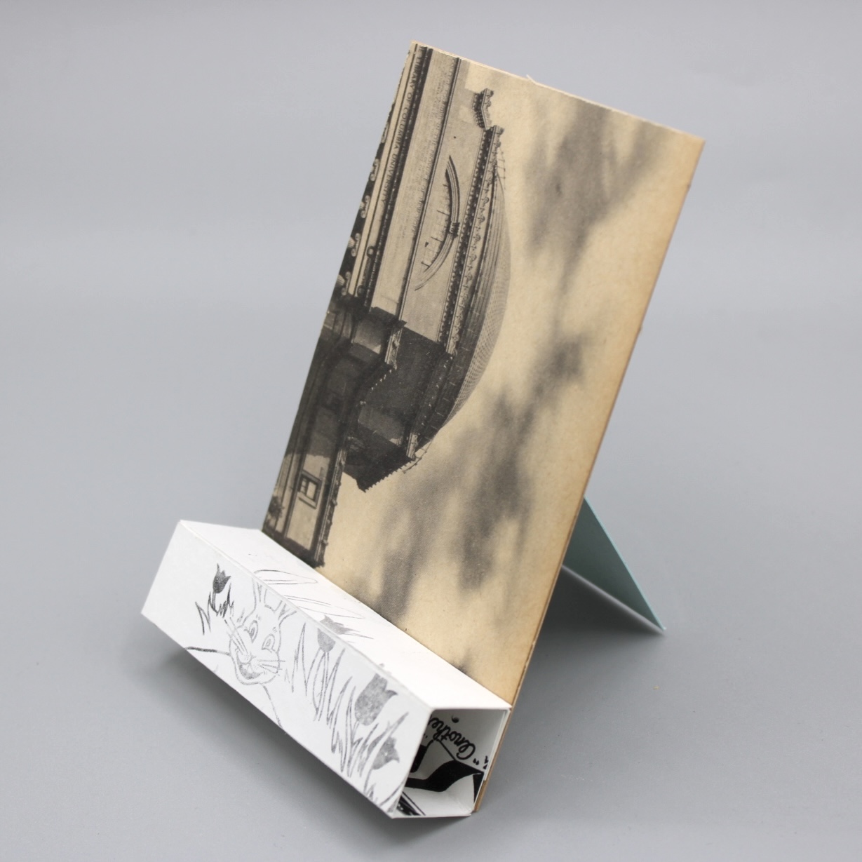 2024/06/13, object photographed in collection storage for database