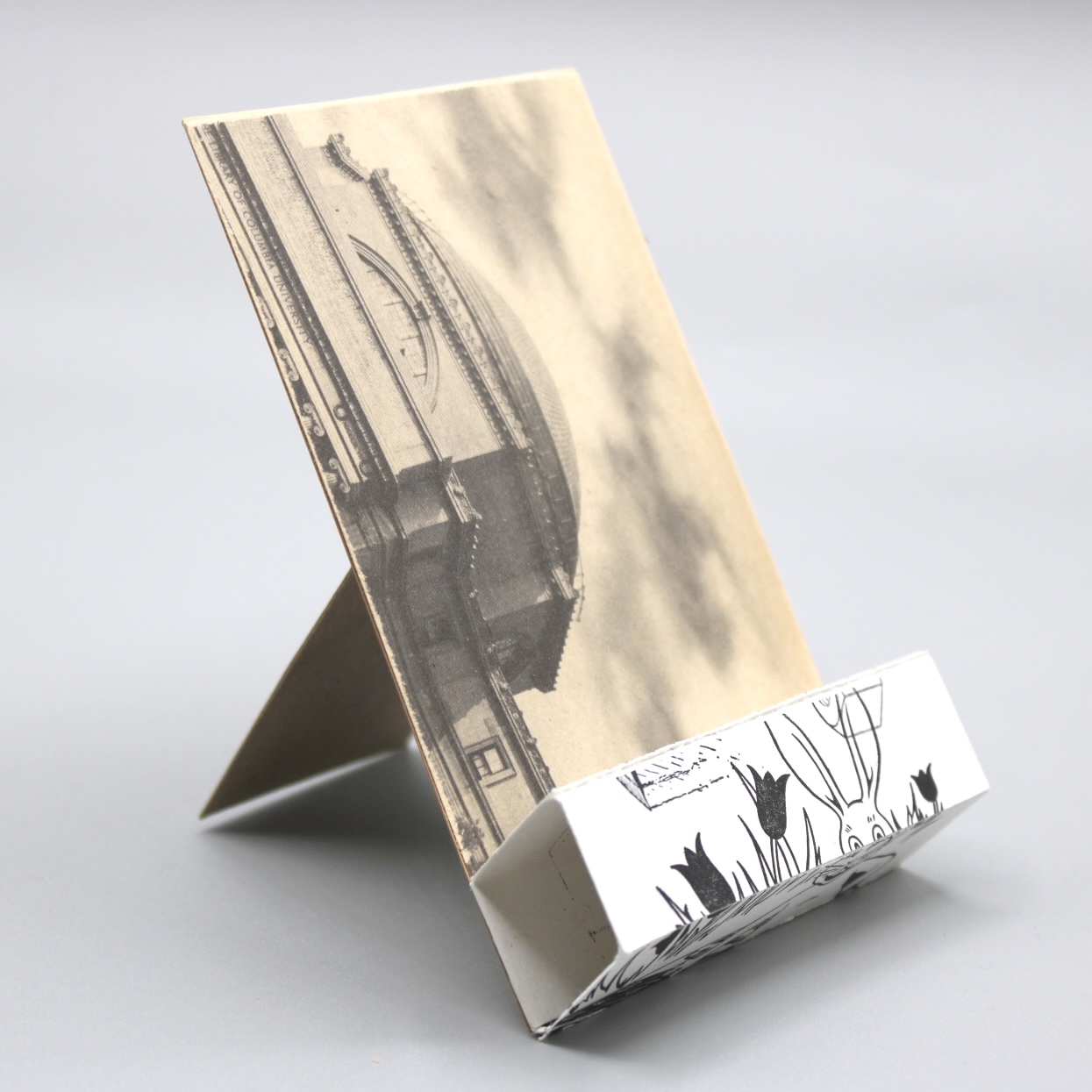 2024/06/13, object photographed in collection storage for database