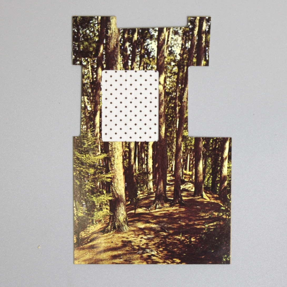 224/06/18, object photographed in collection storage for database