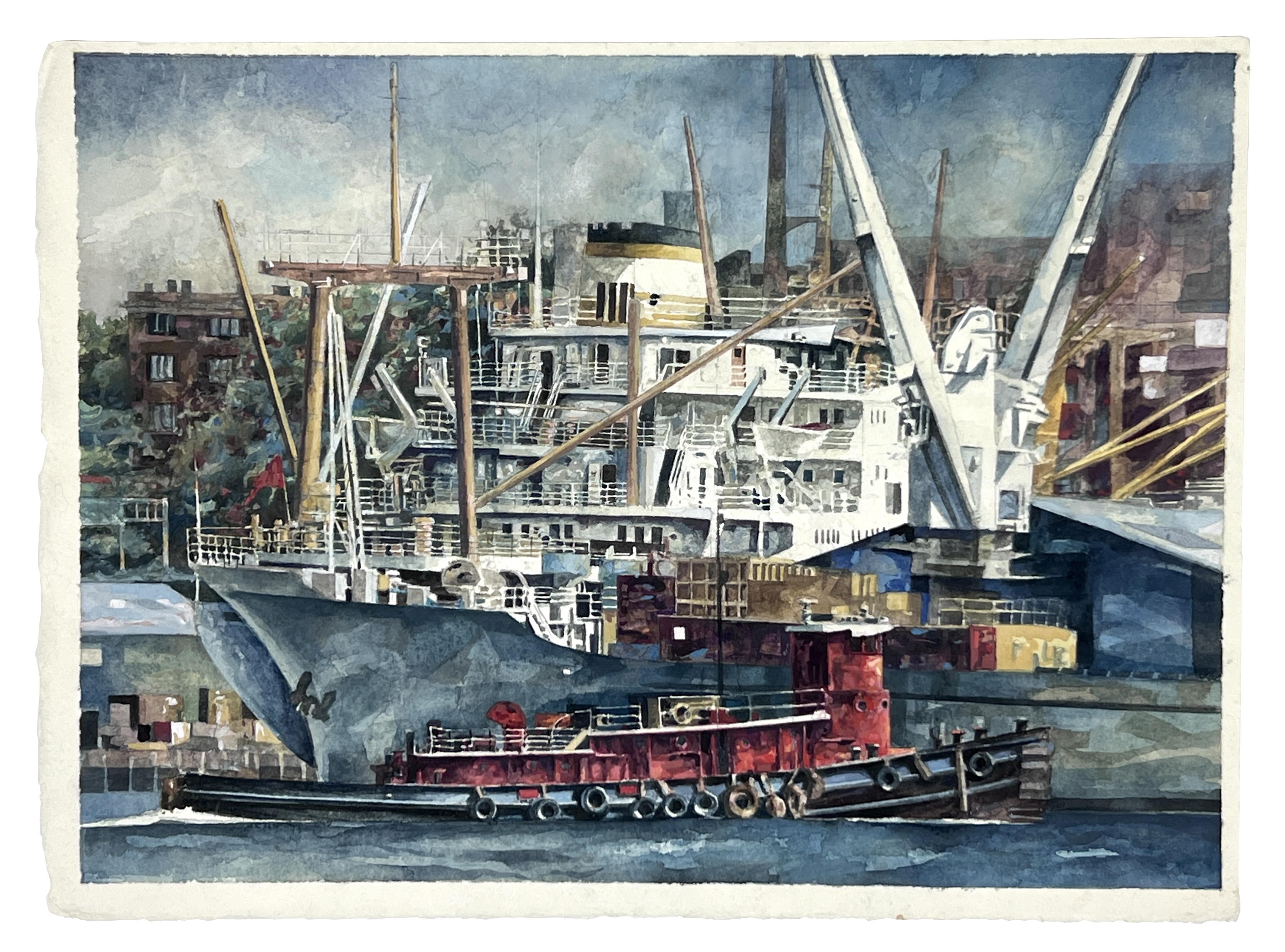 2024/06/20, image edited in photoshop from 2024/06/19 for database