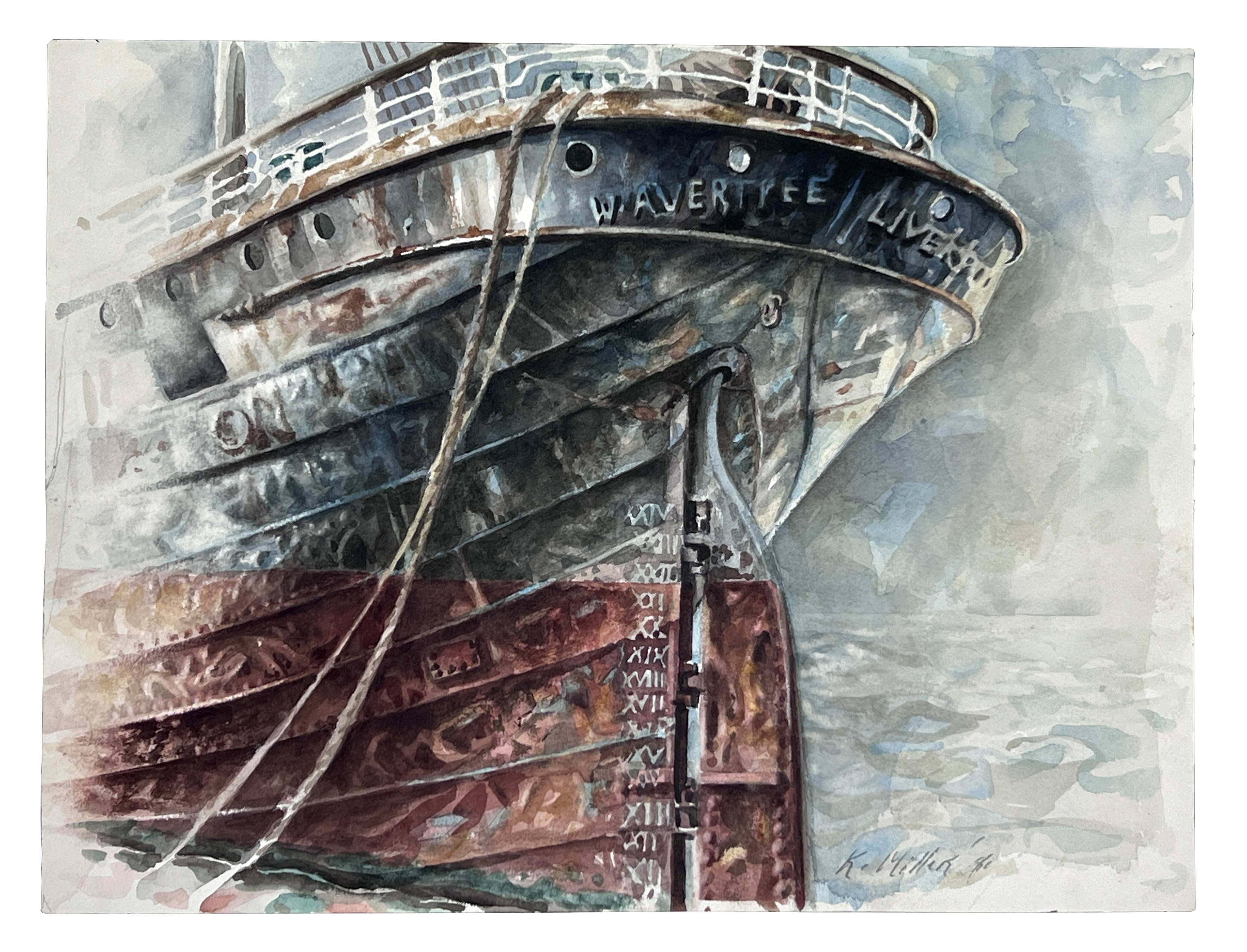 2024/06/20, image edited in photoshop from 2024/06/19 for database