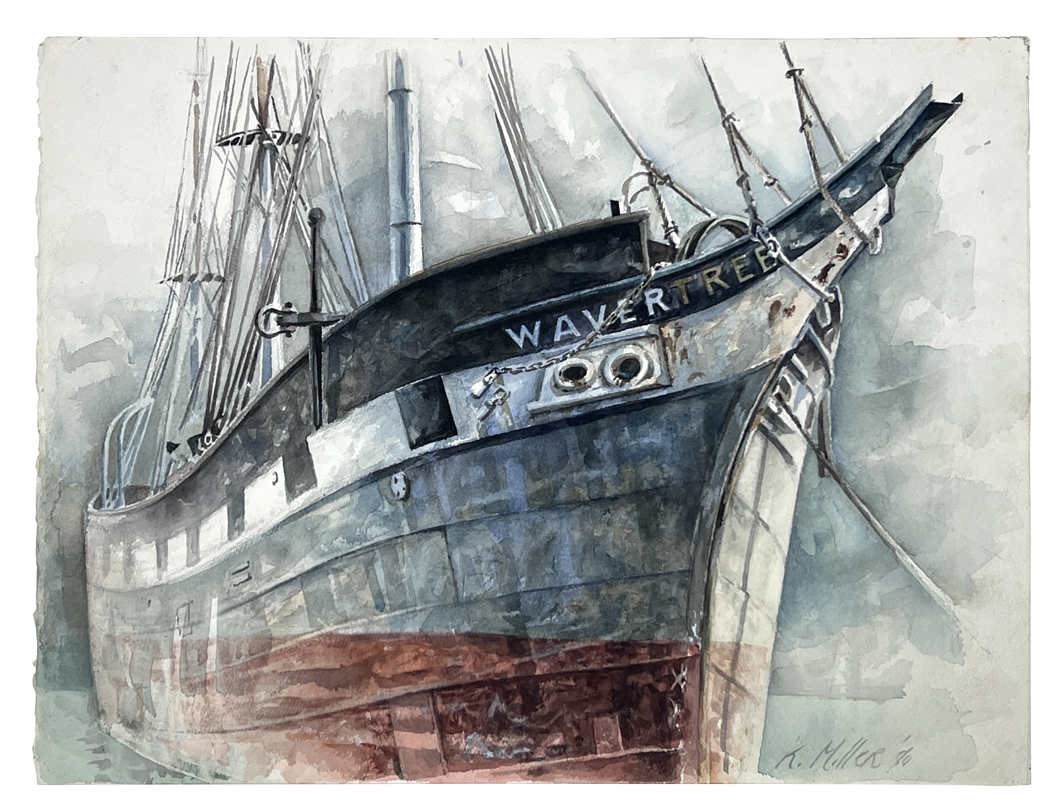 2024/06/20, image edited in photoshop from 2024/06/19 for database