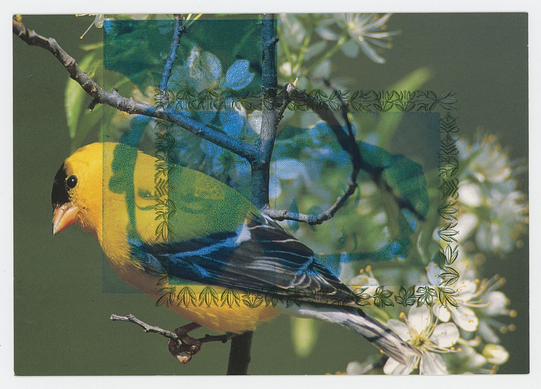 2024/06/25 scanned in the office for database