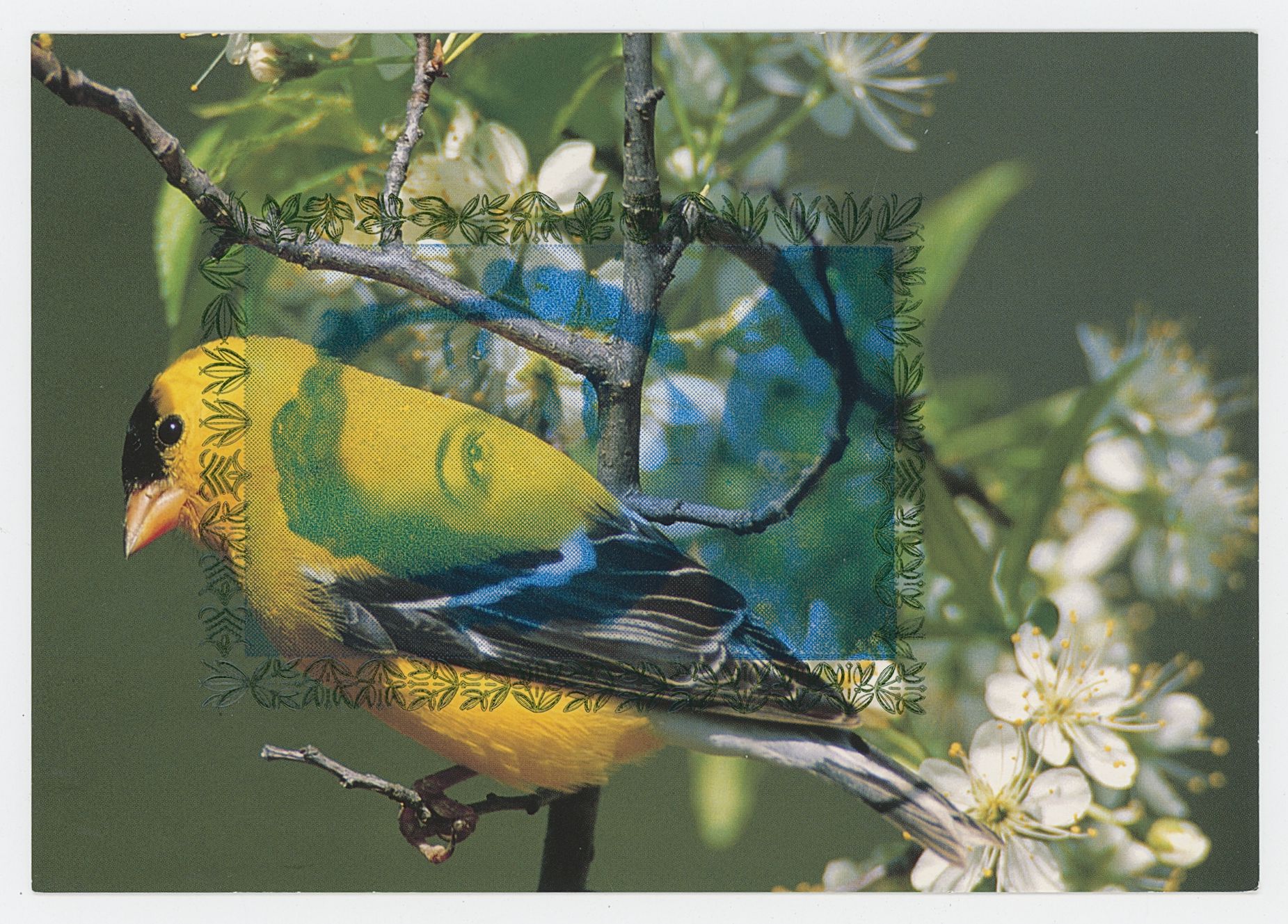 2024/06/26 scanned in the office for database