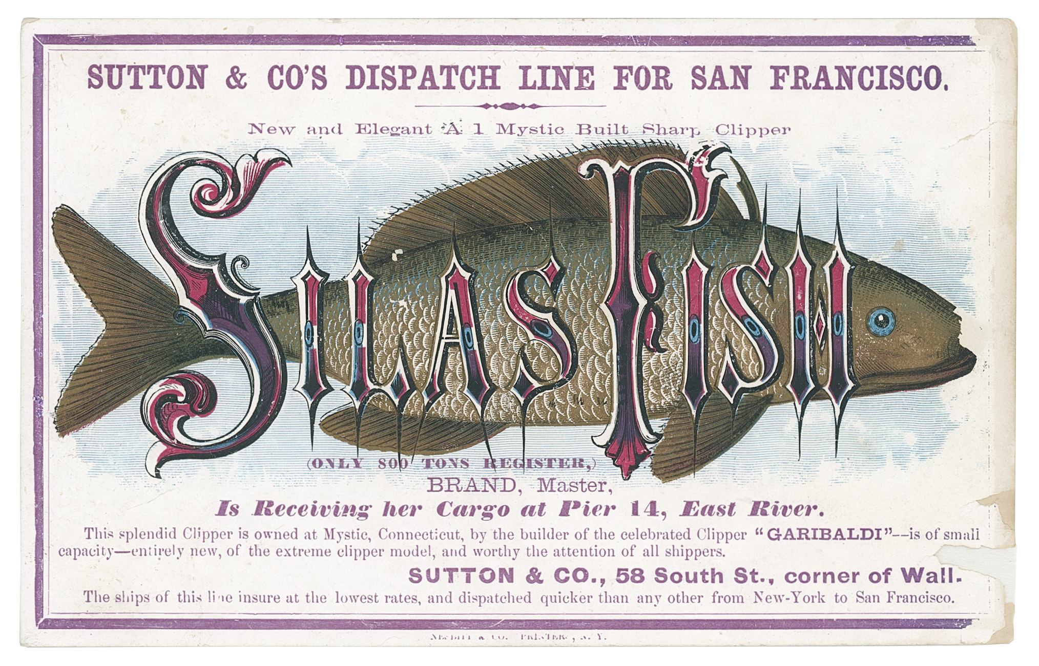 2024/06/26, image from 2023/08/18 edited onto white background with photoshop for the portal