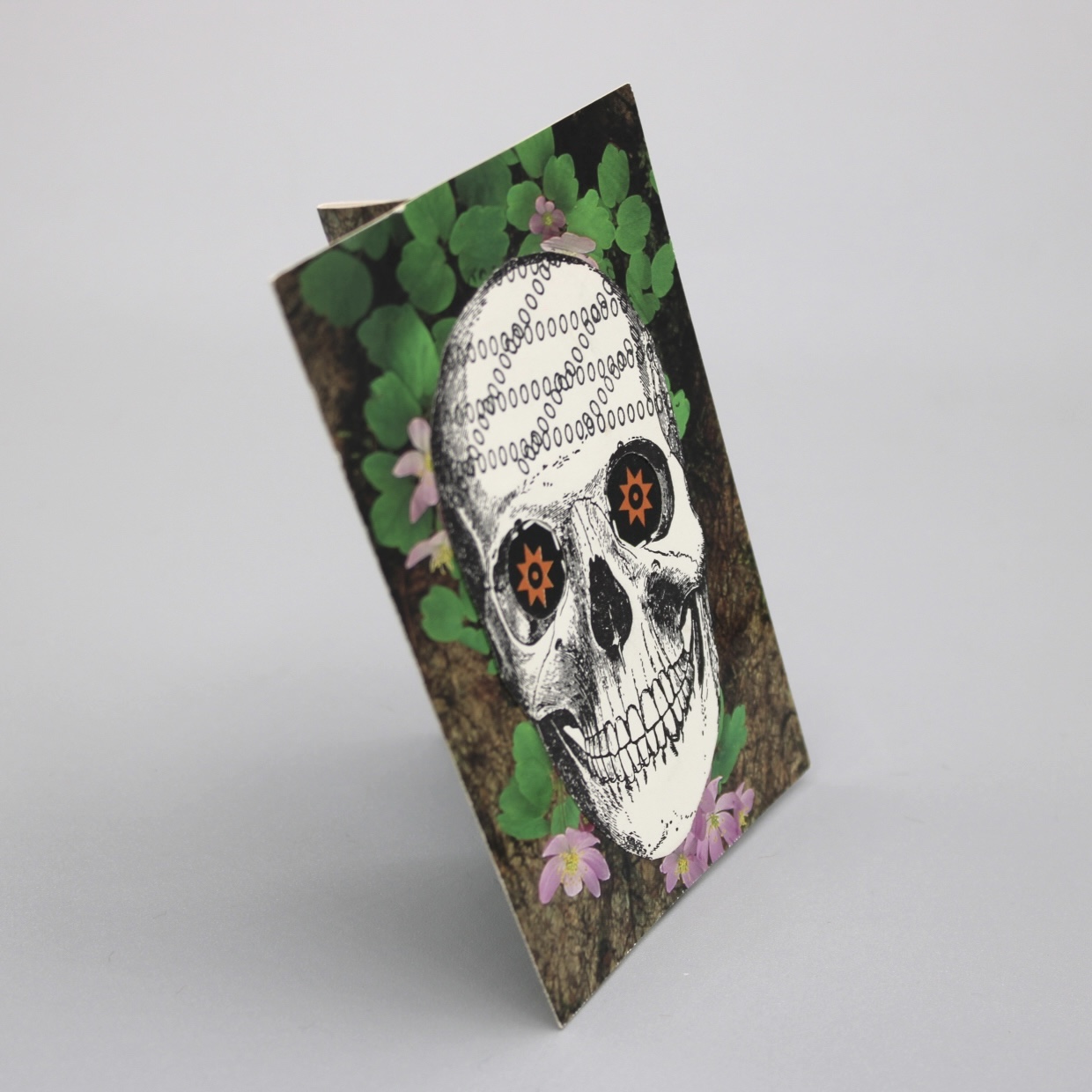 2024/07/03, object photographed in collection storage for database