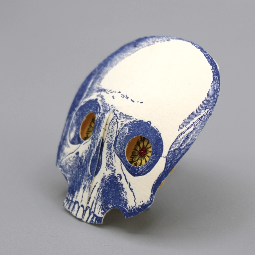 2024/07/03, object photographed in collection storage for database