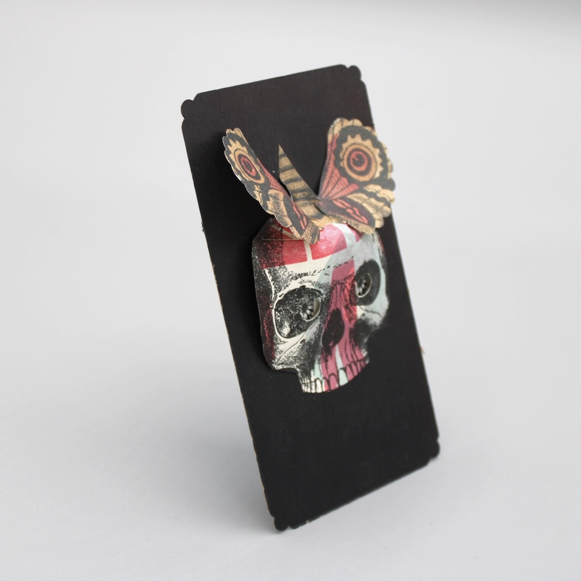 2024/07/05, object photographed in collection storage for database