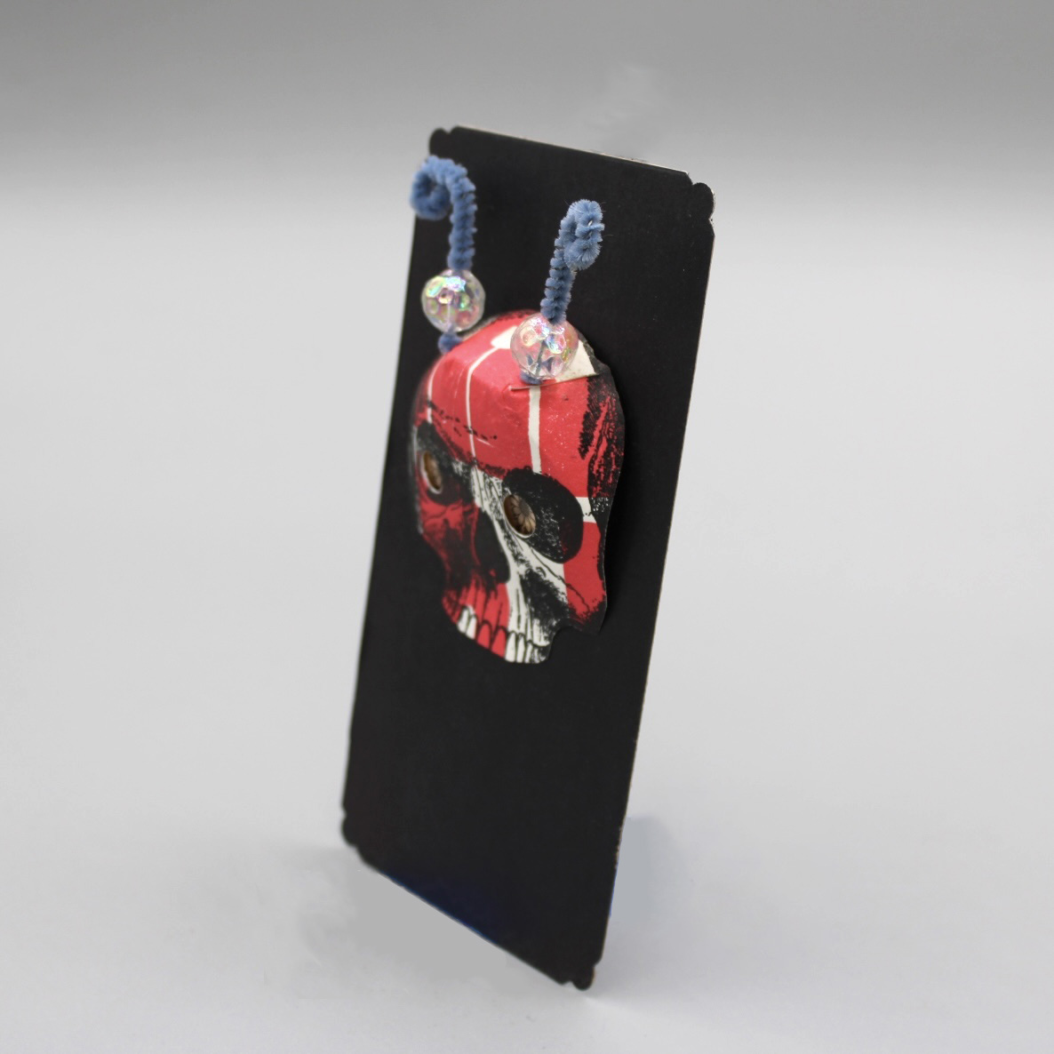 2024/07/05, object photographed in collection storage for database