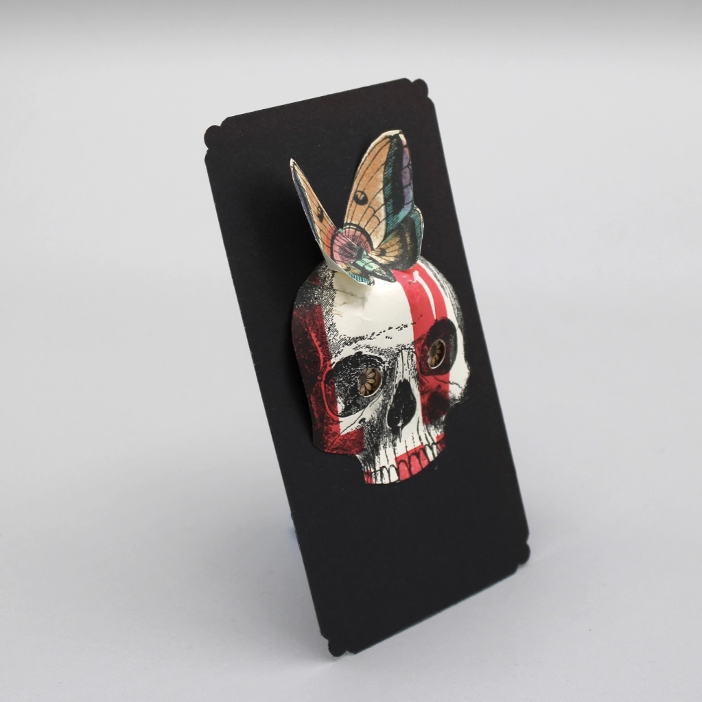 2024/07/05, object photographed in collection storage for database