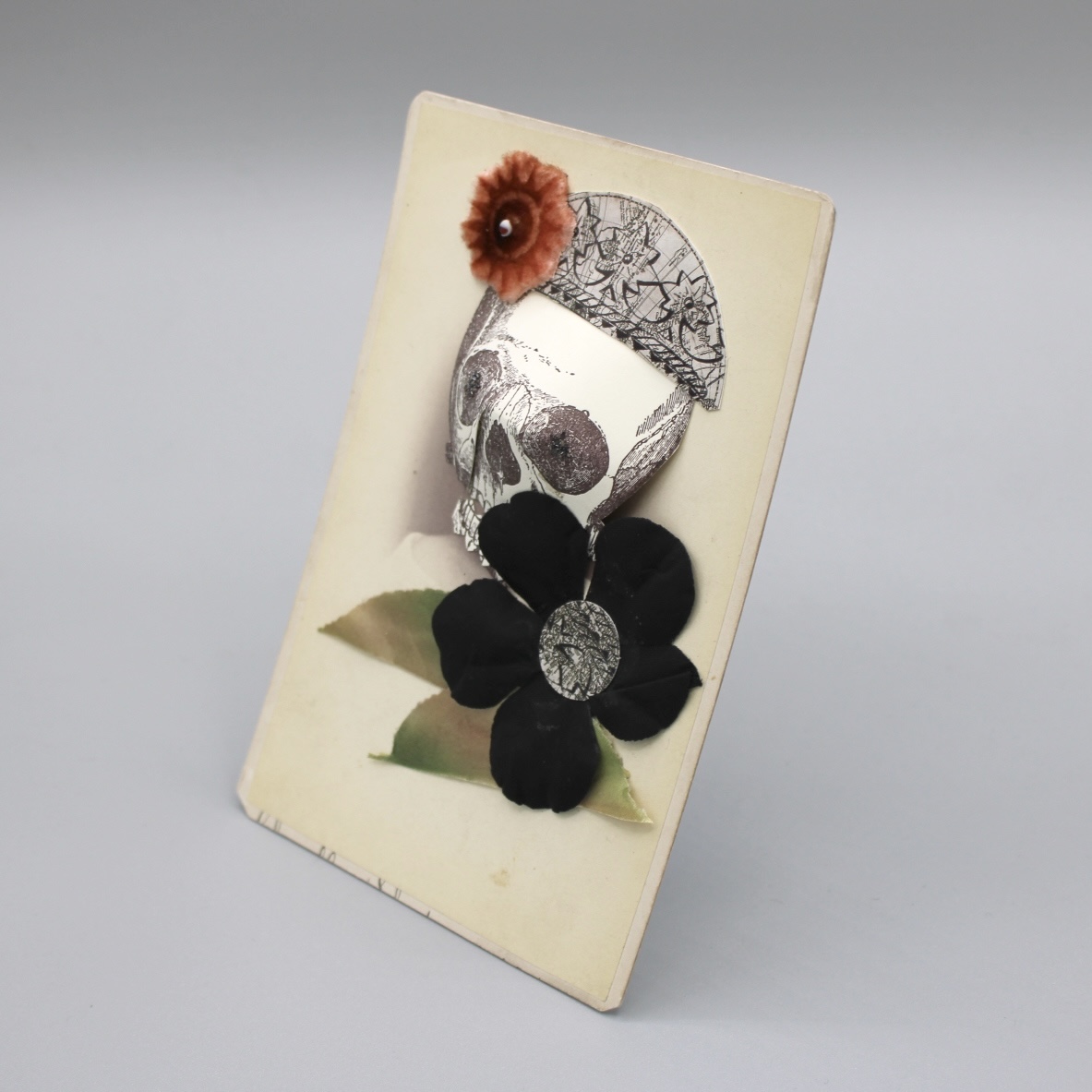 2024/07/05, object photographed in collection storage for database