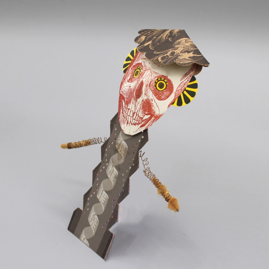 2024/07/05, object photographed in collection storage for database