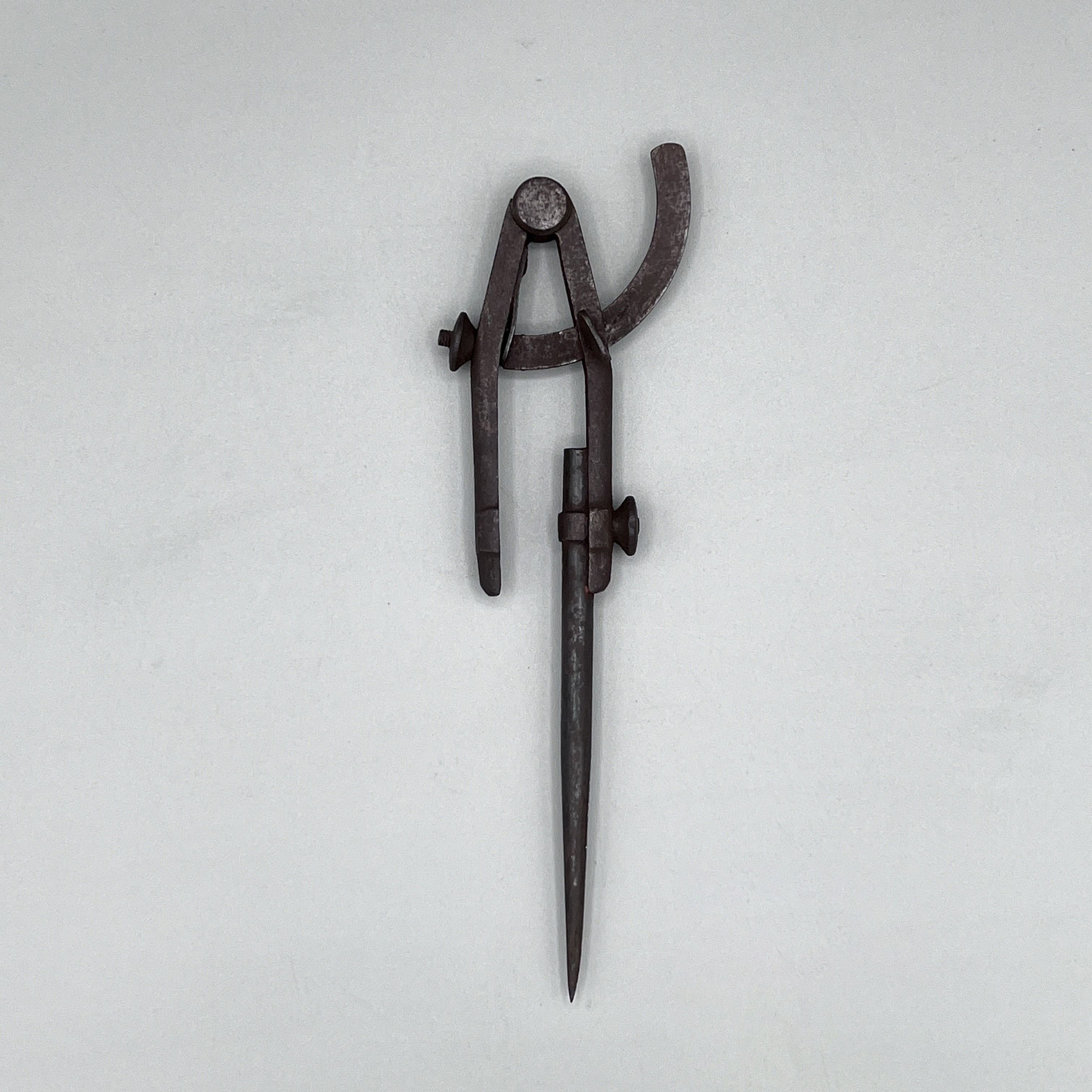 2024/07/06, object photographed in collection storage for database