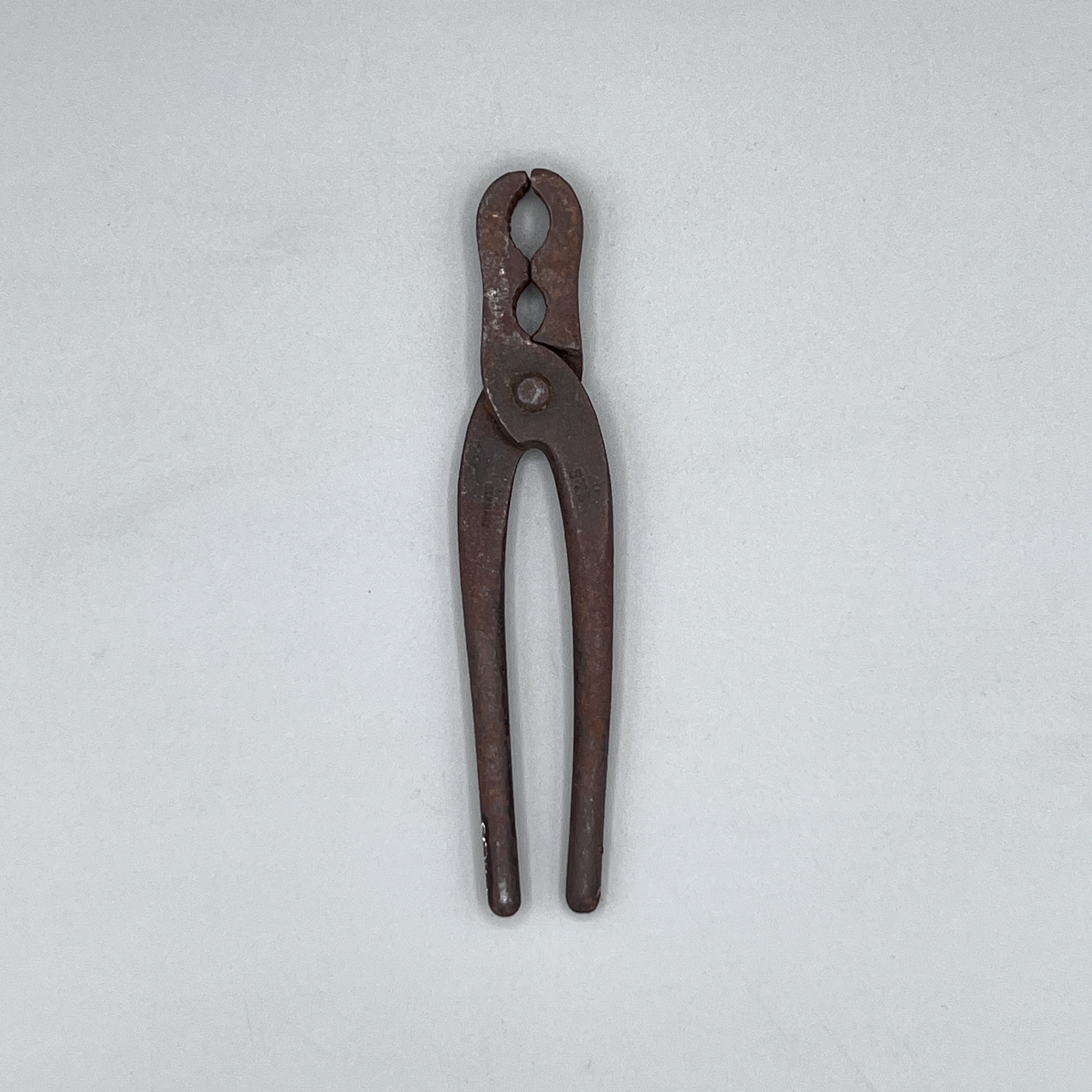 2024/07/06, object photographed in collection storage for database