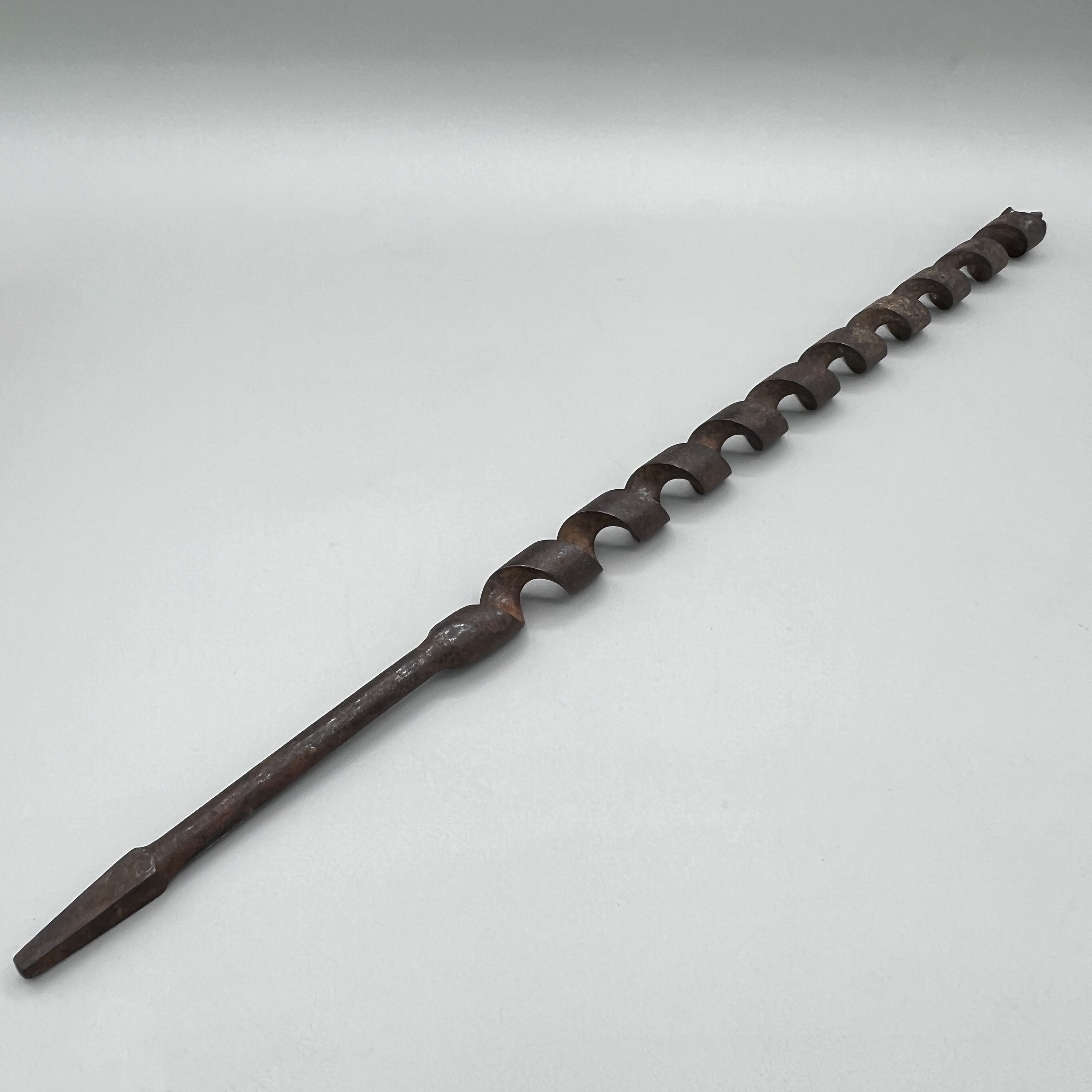 2024/07/06, object photographed in collection storage for database