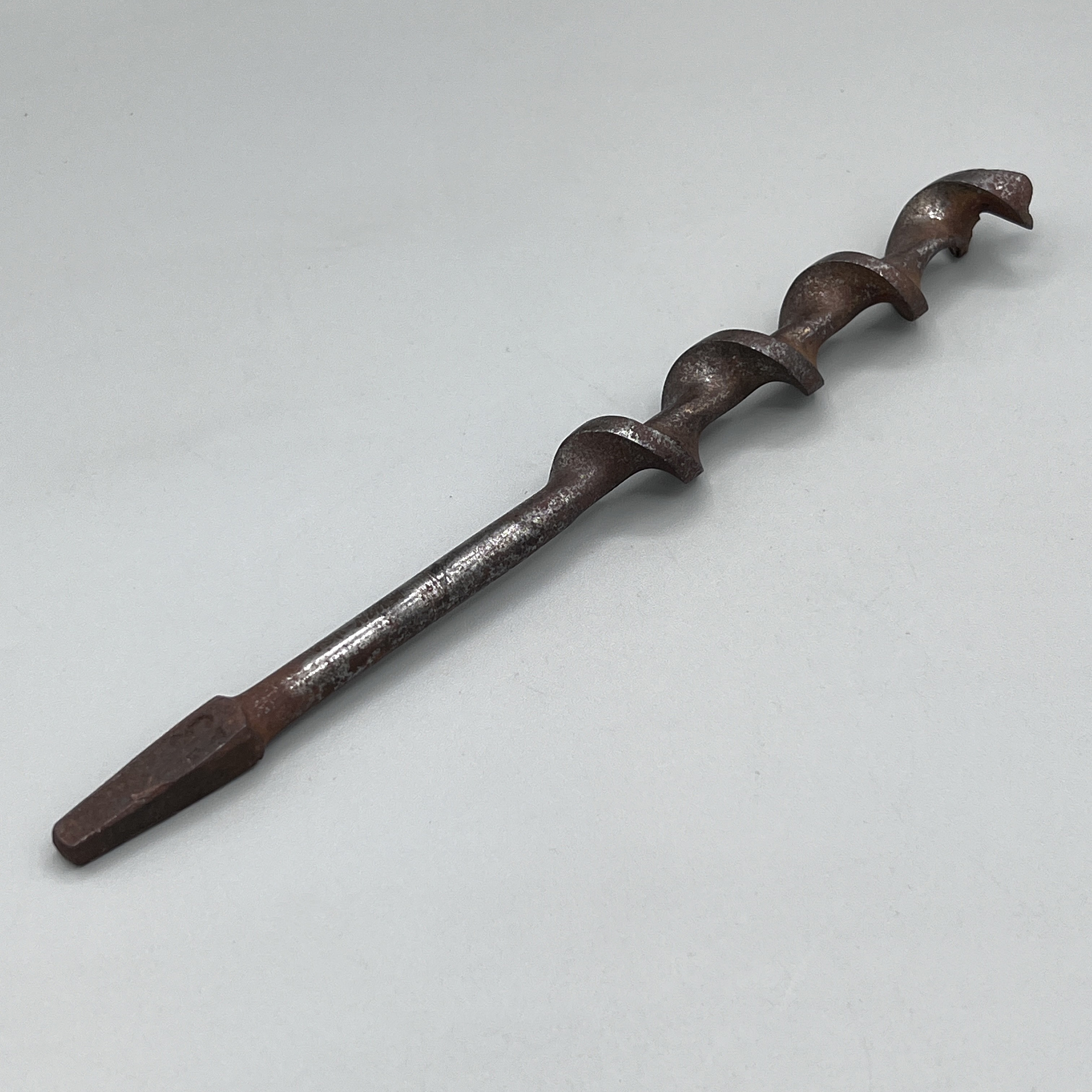 2024/07/06, object photographed in collection storage for database