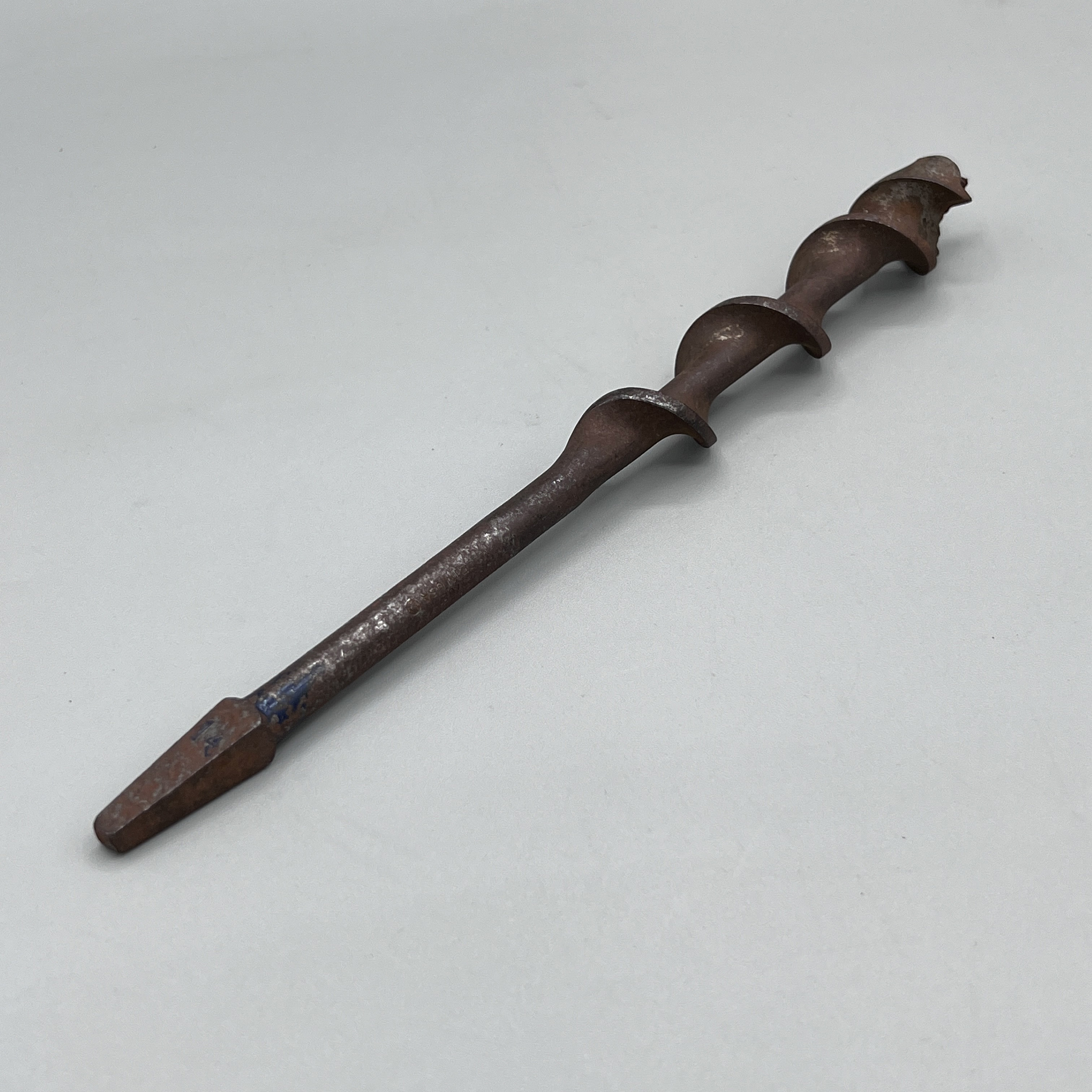 2024/07/06, object photographed in collection storage for database