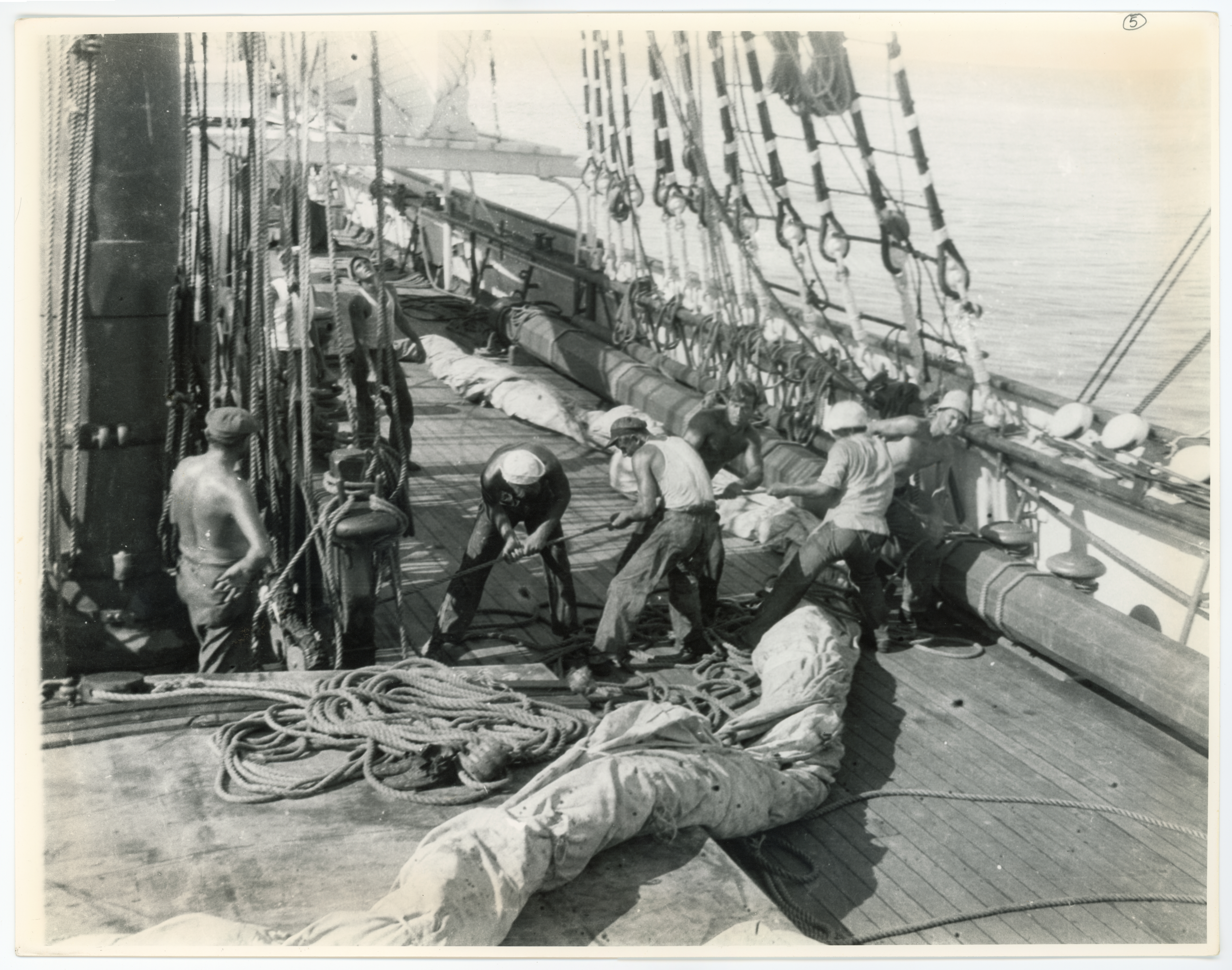 2024/07/09 scanned in collection storage for database