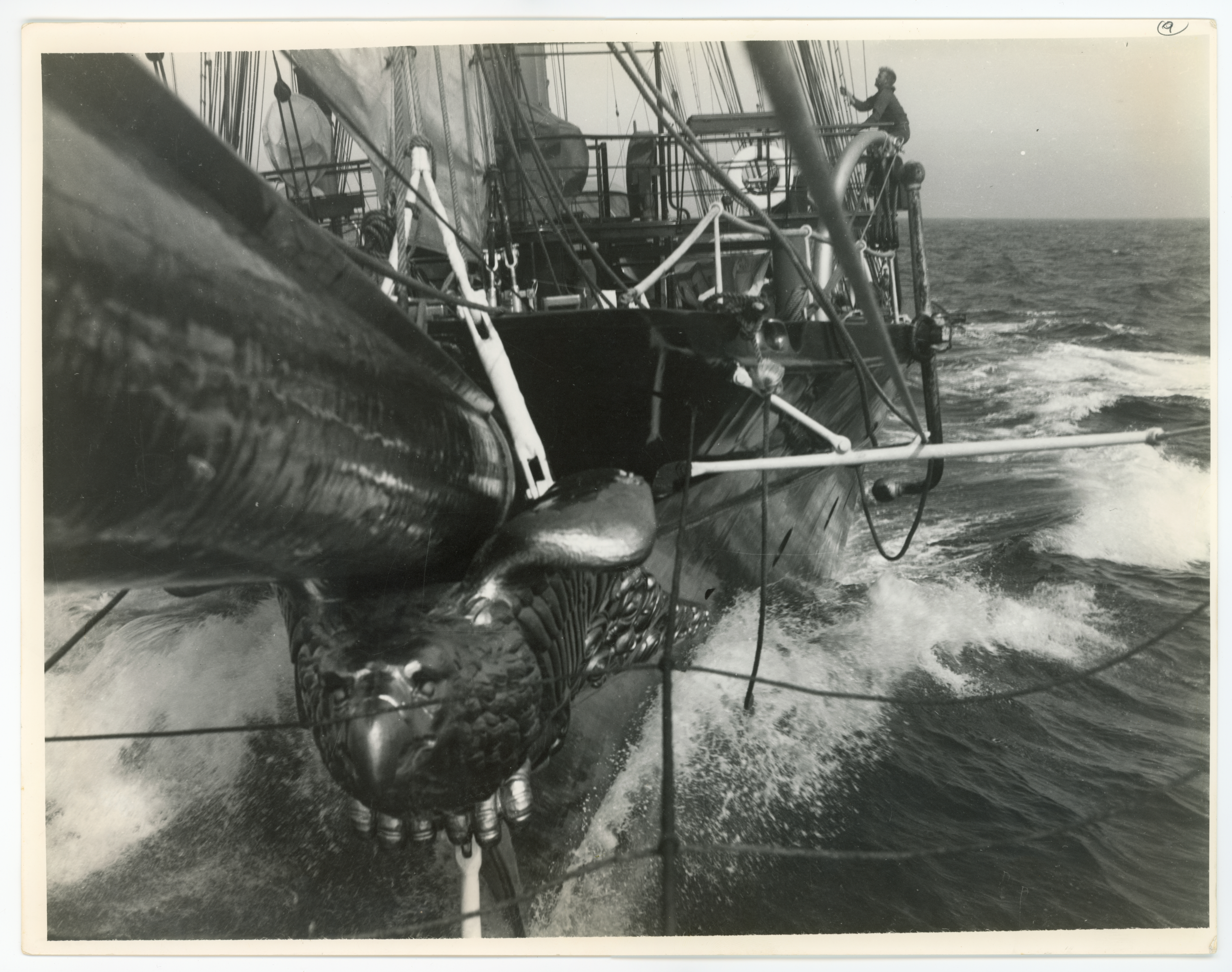 2024/07/09 scanned in collection storage for database