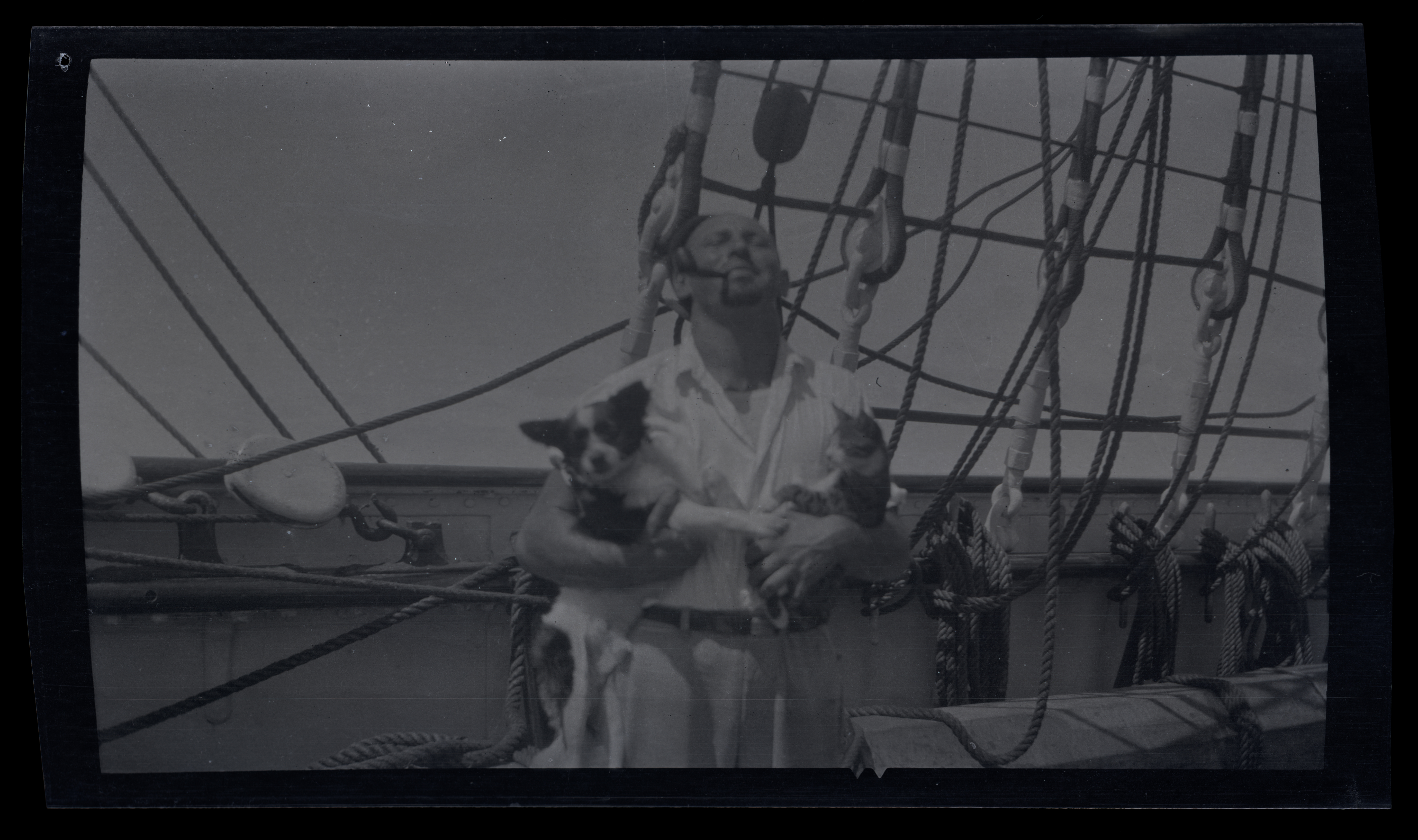 2024/07/10 scanned in collection storage for database