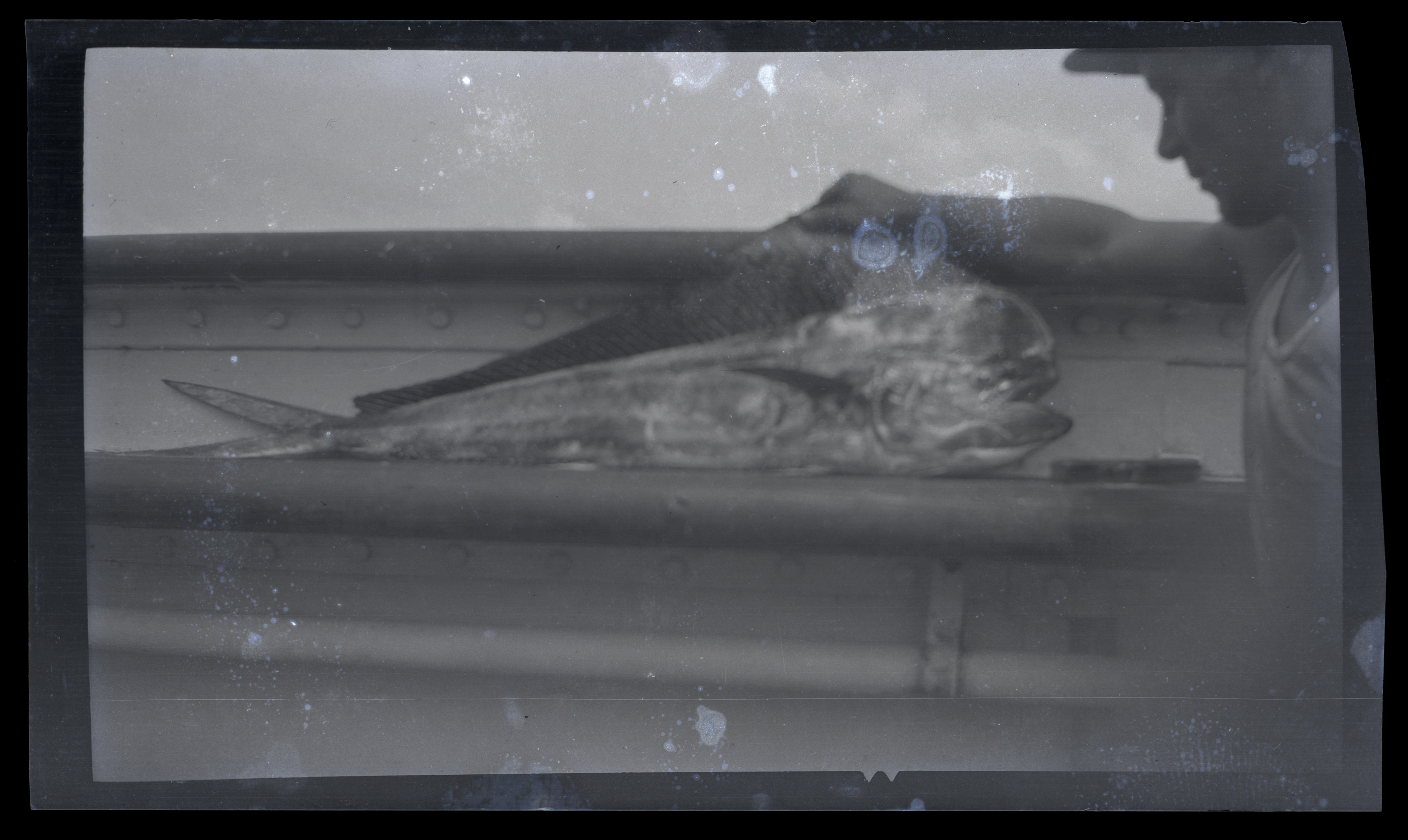 2024/07/11 scanned in collection storage for database