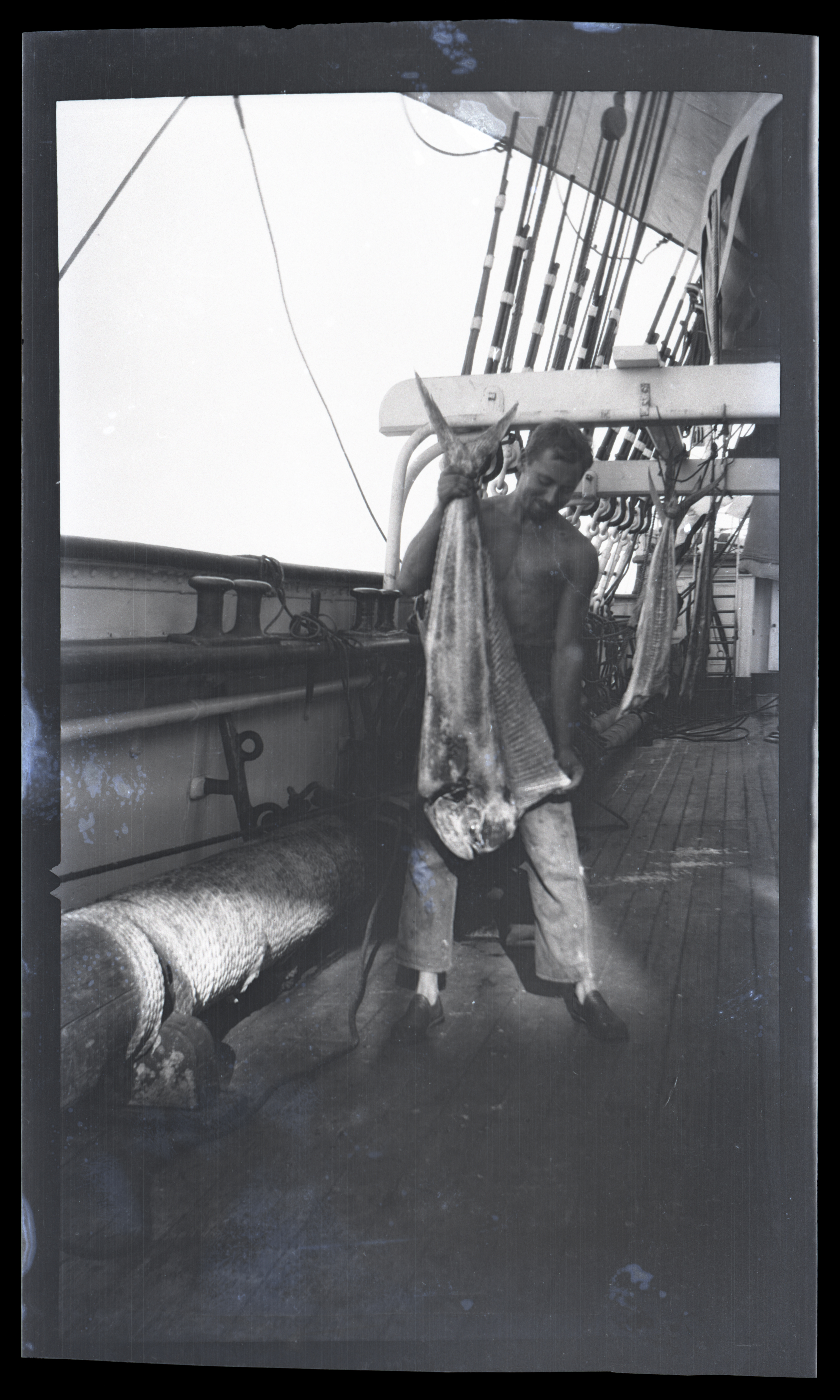 2024/07/11 scanned in collection storage for database