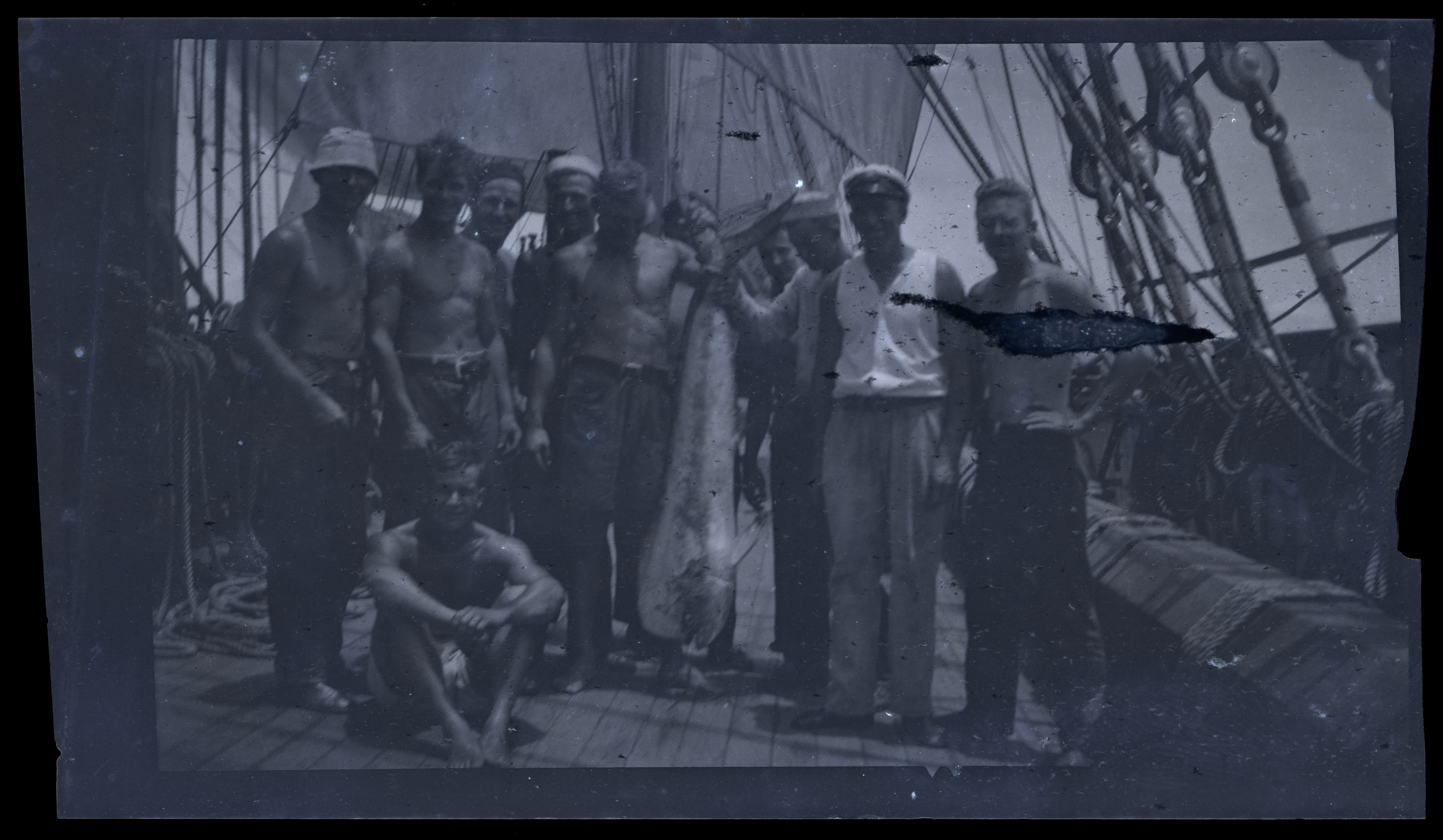 2024/07/11 scanned in collection storage for database