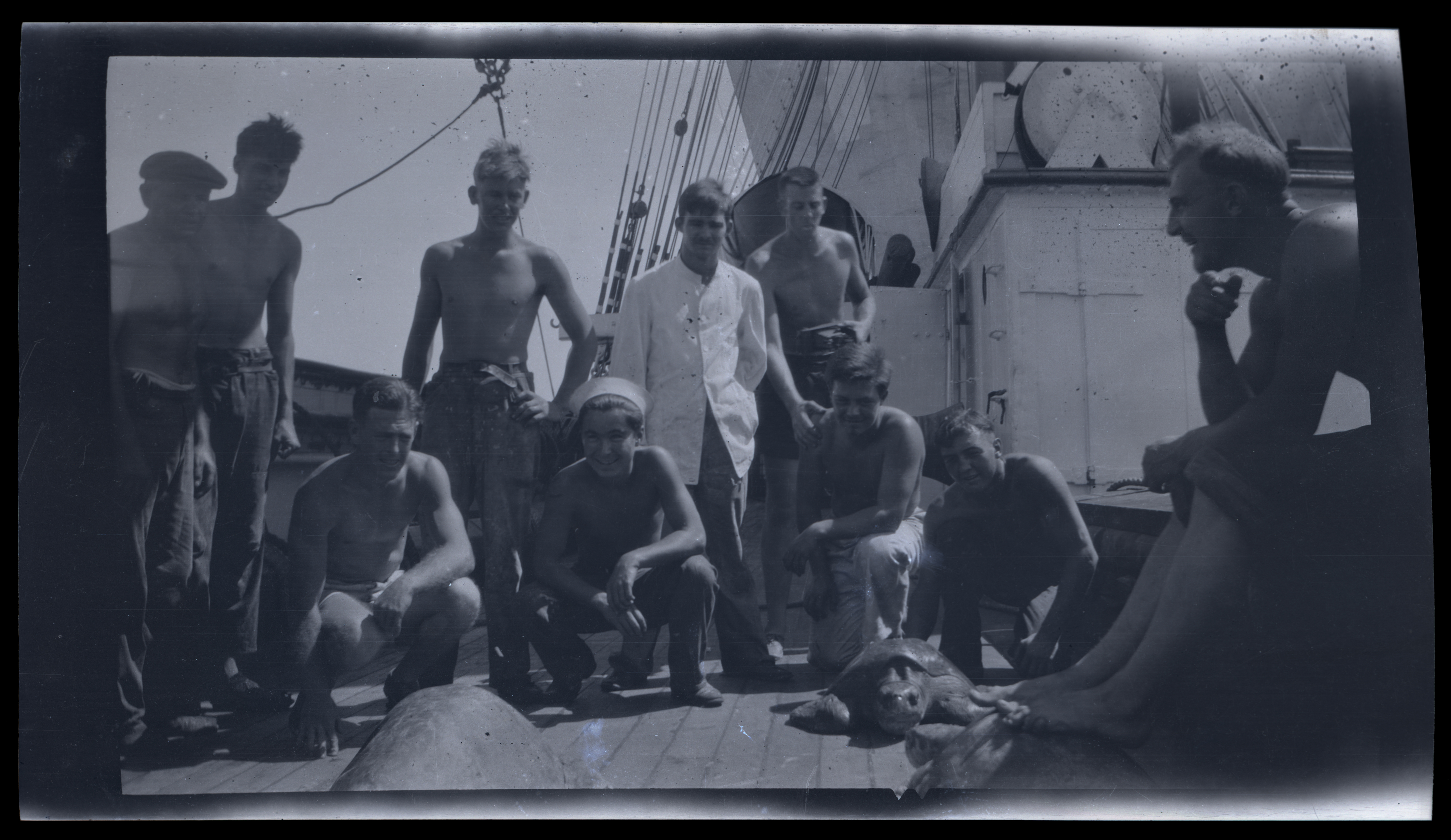 2024/07/11 scanned in collection storage for database