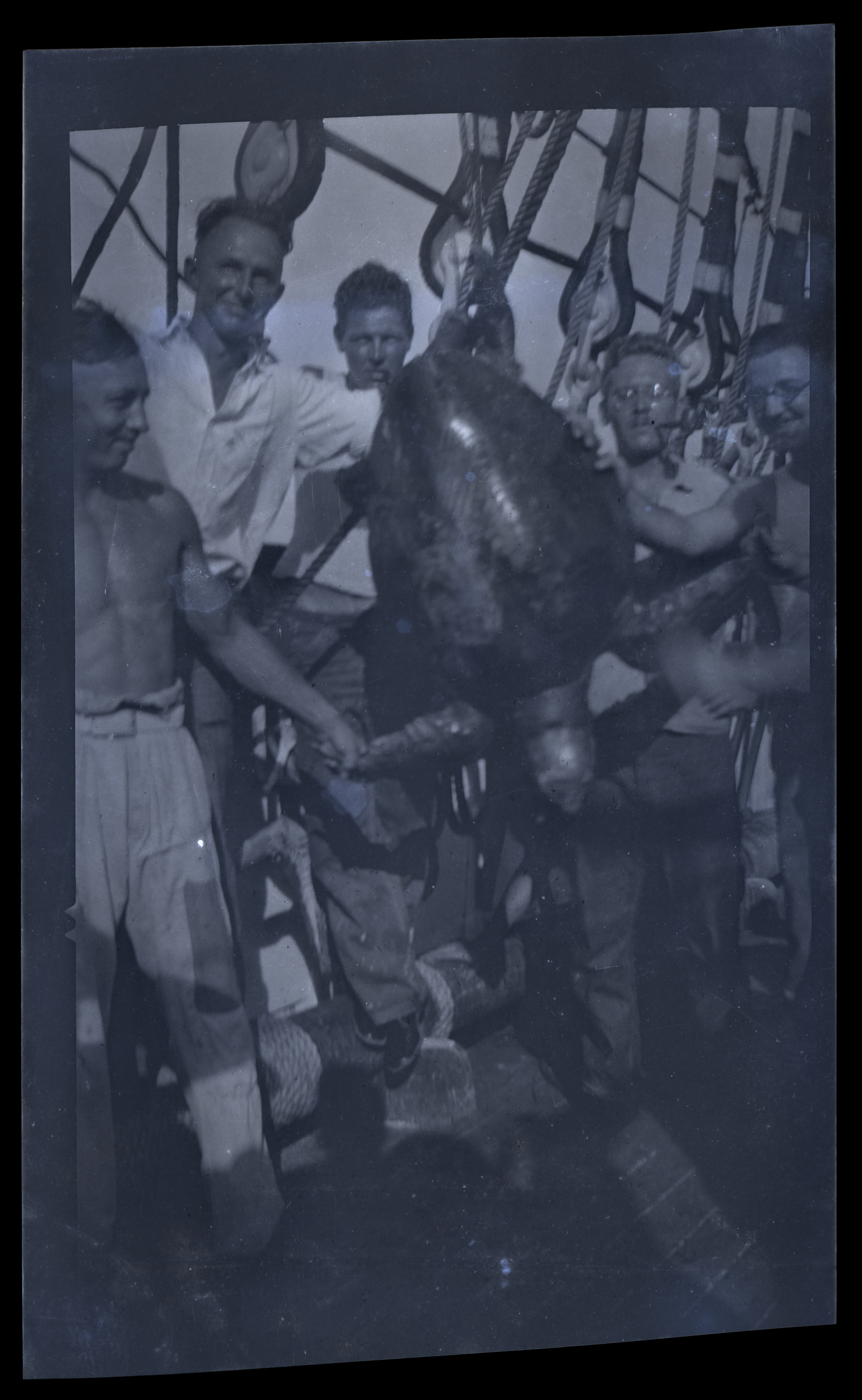 2024/07/11 scanned in collection storage for database