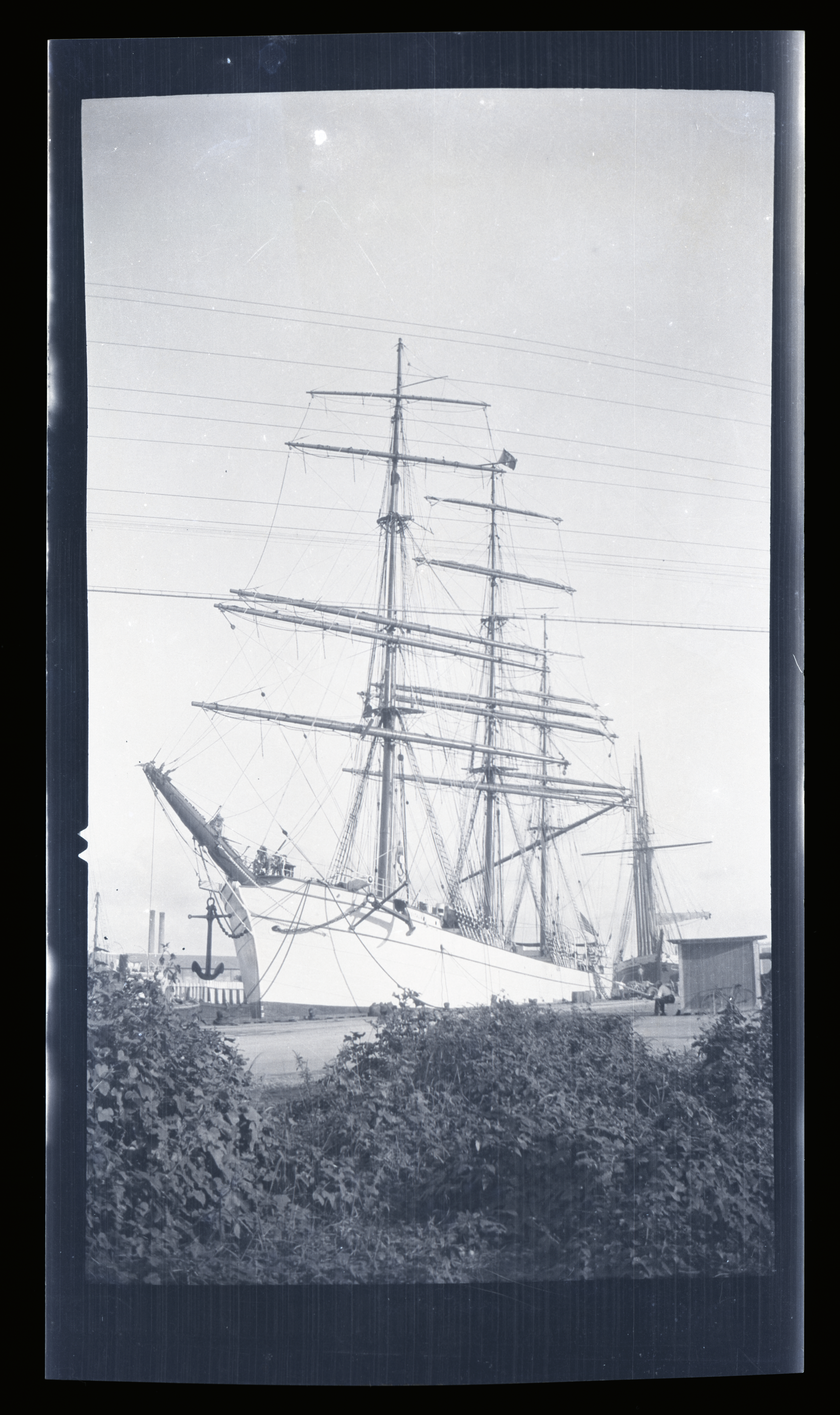 2024/06/12 scanned in collection storage for database