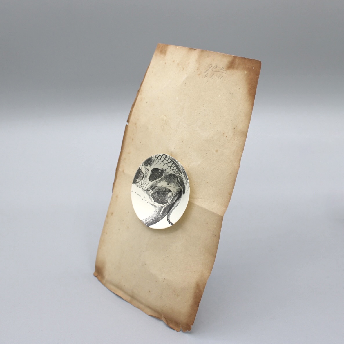 2024/07/16, object photographed in collection storage for database