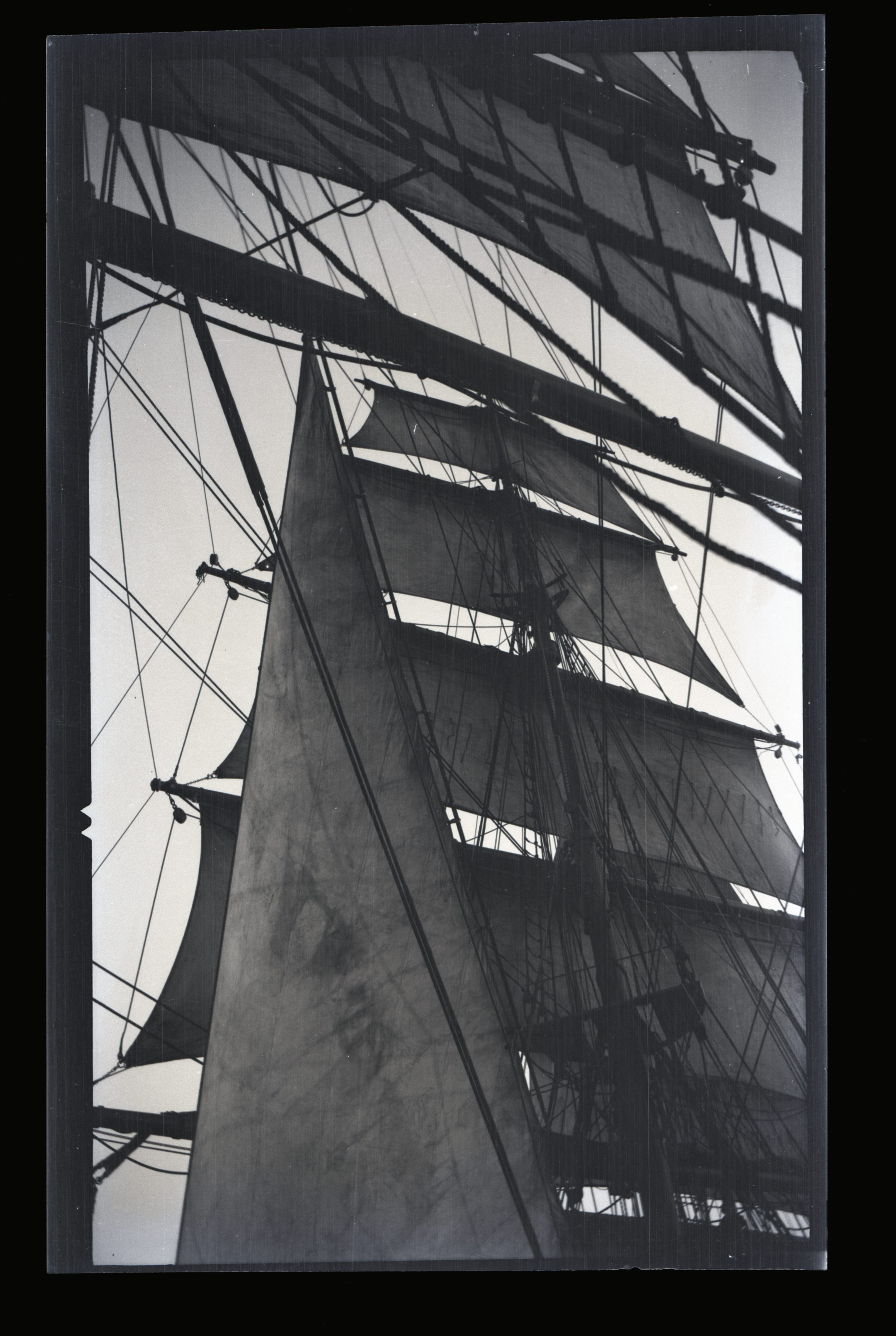 2024/06/26 scanned in collection storage for database